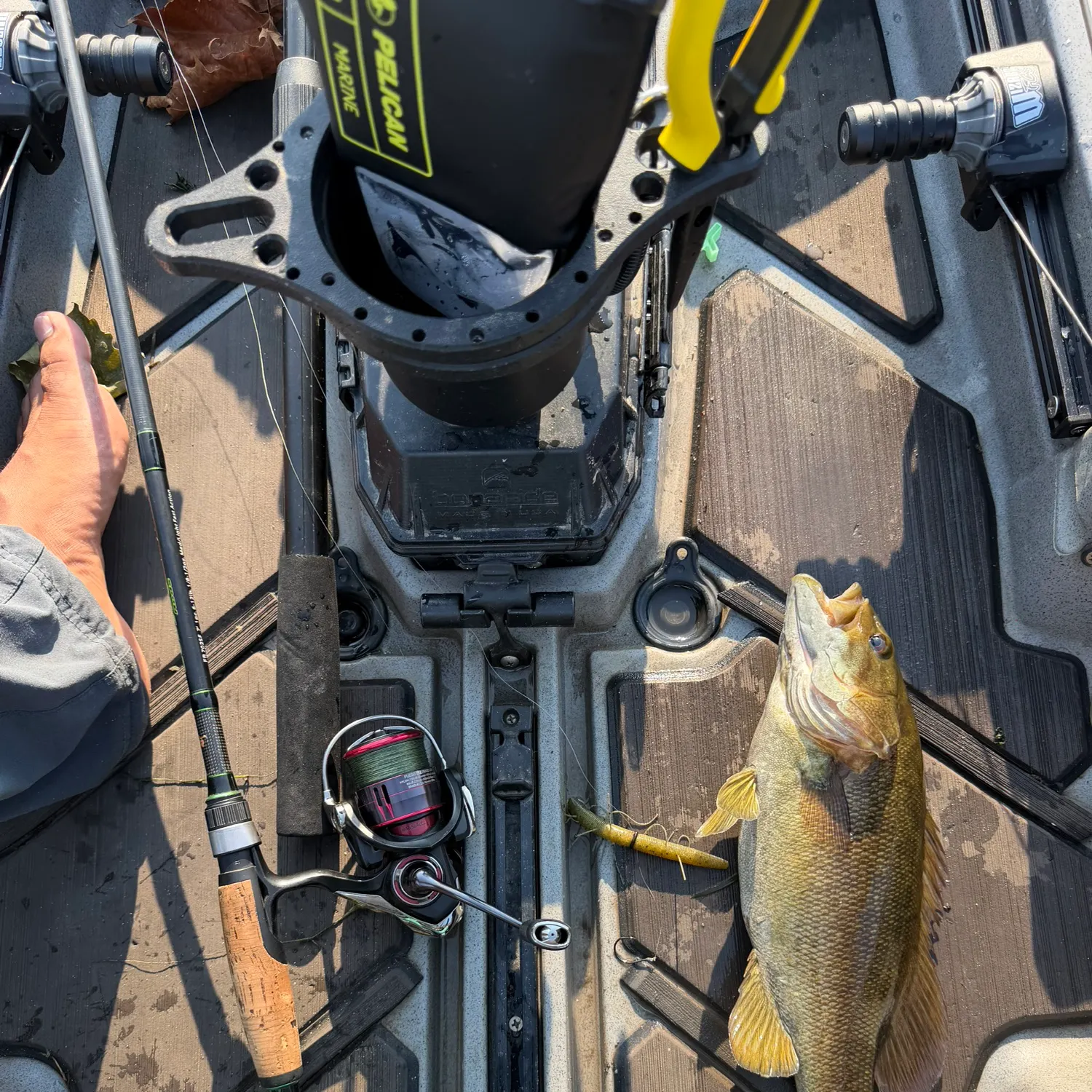 Smallmouth bass caught on Fishbrain
