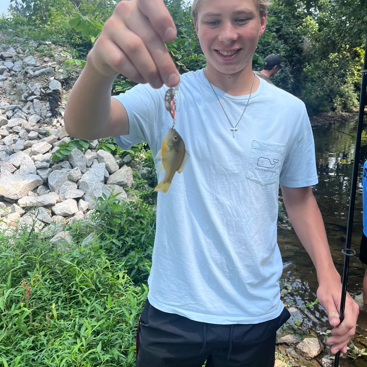 Bluegill caught on Fishbrain
