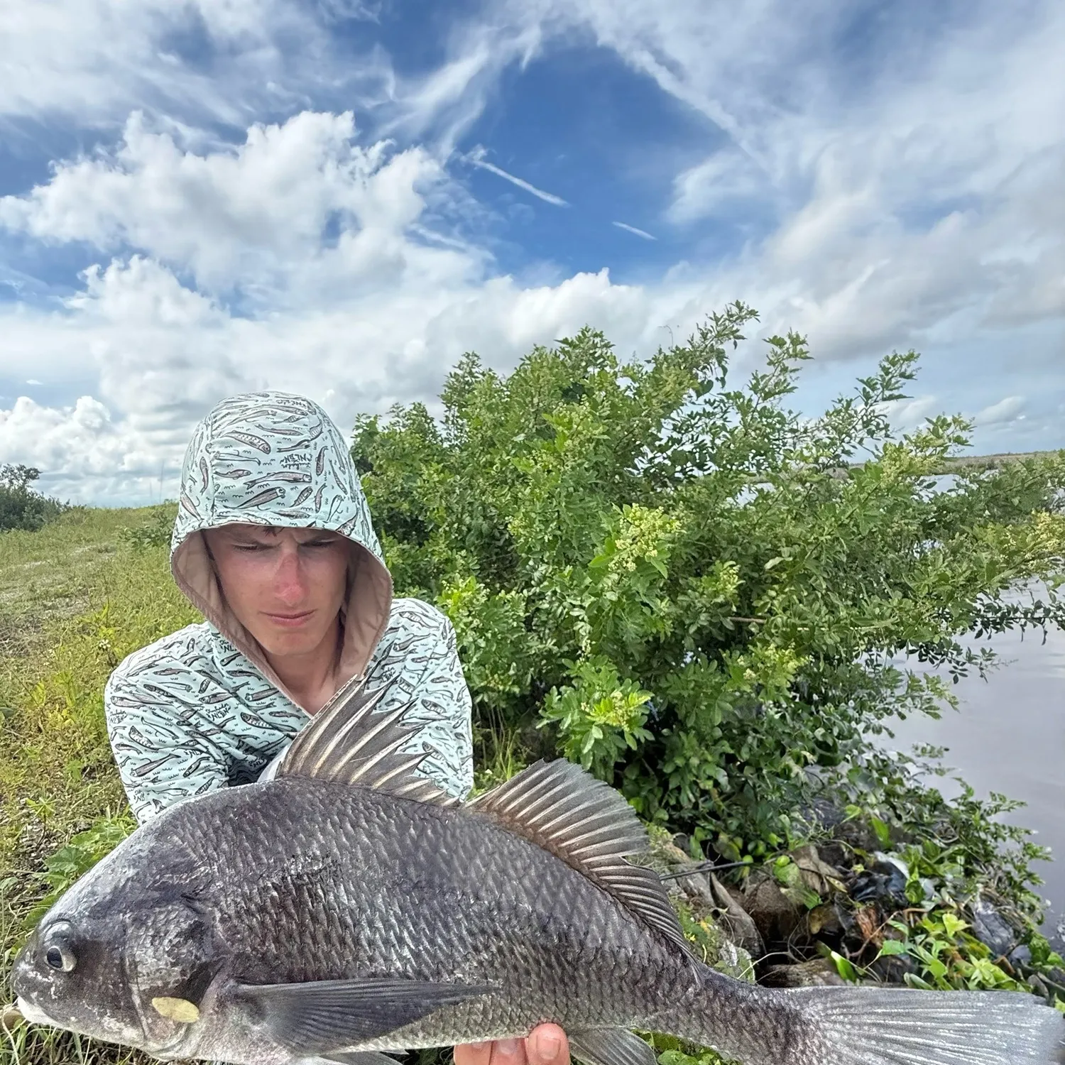 Black drum caught on Fishbrain