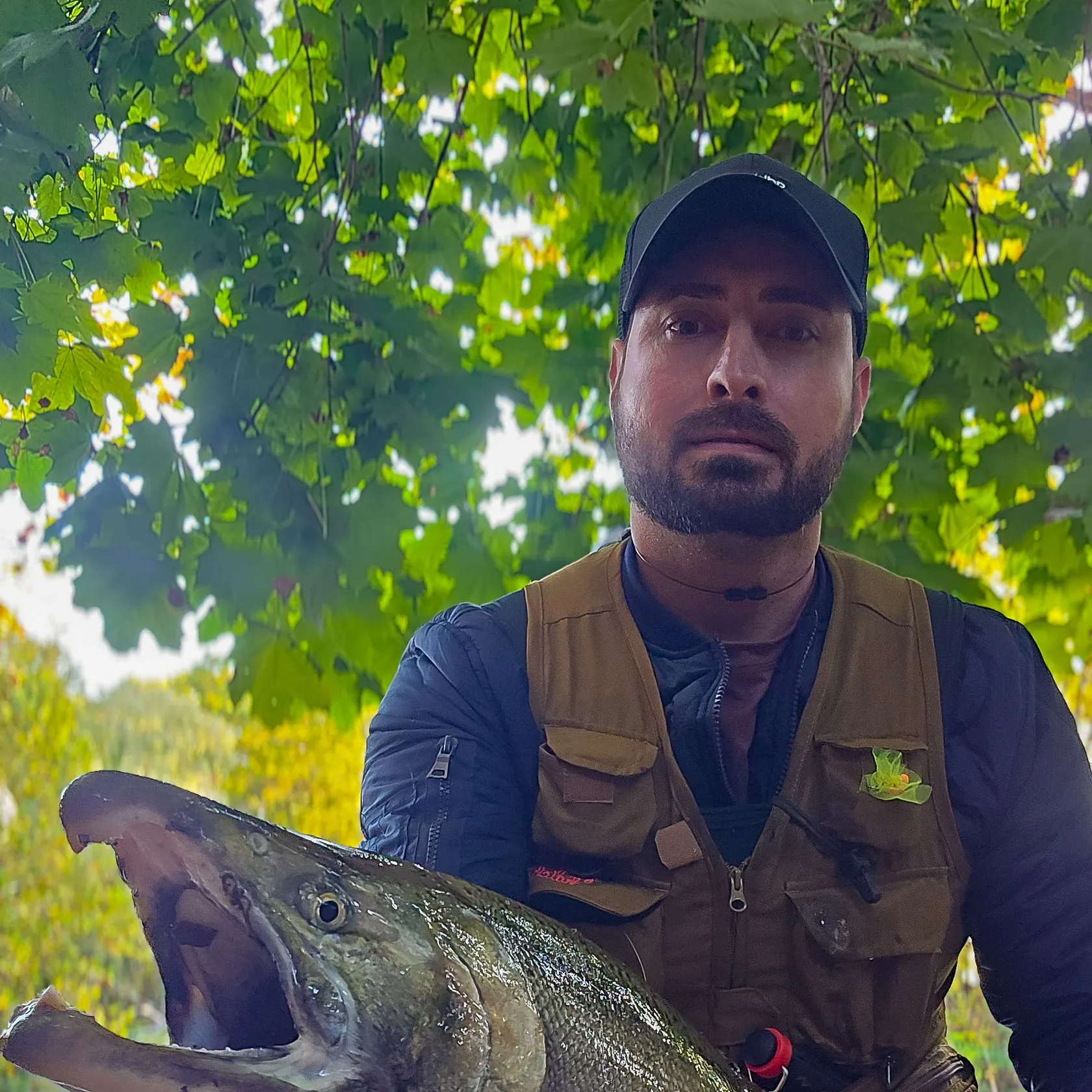 The most recent Chum salmon catches on Fishbrain