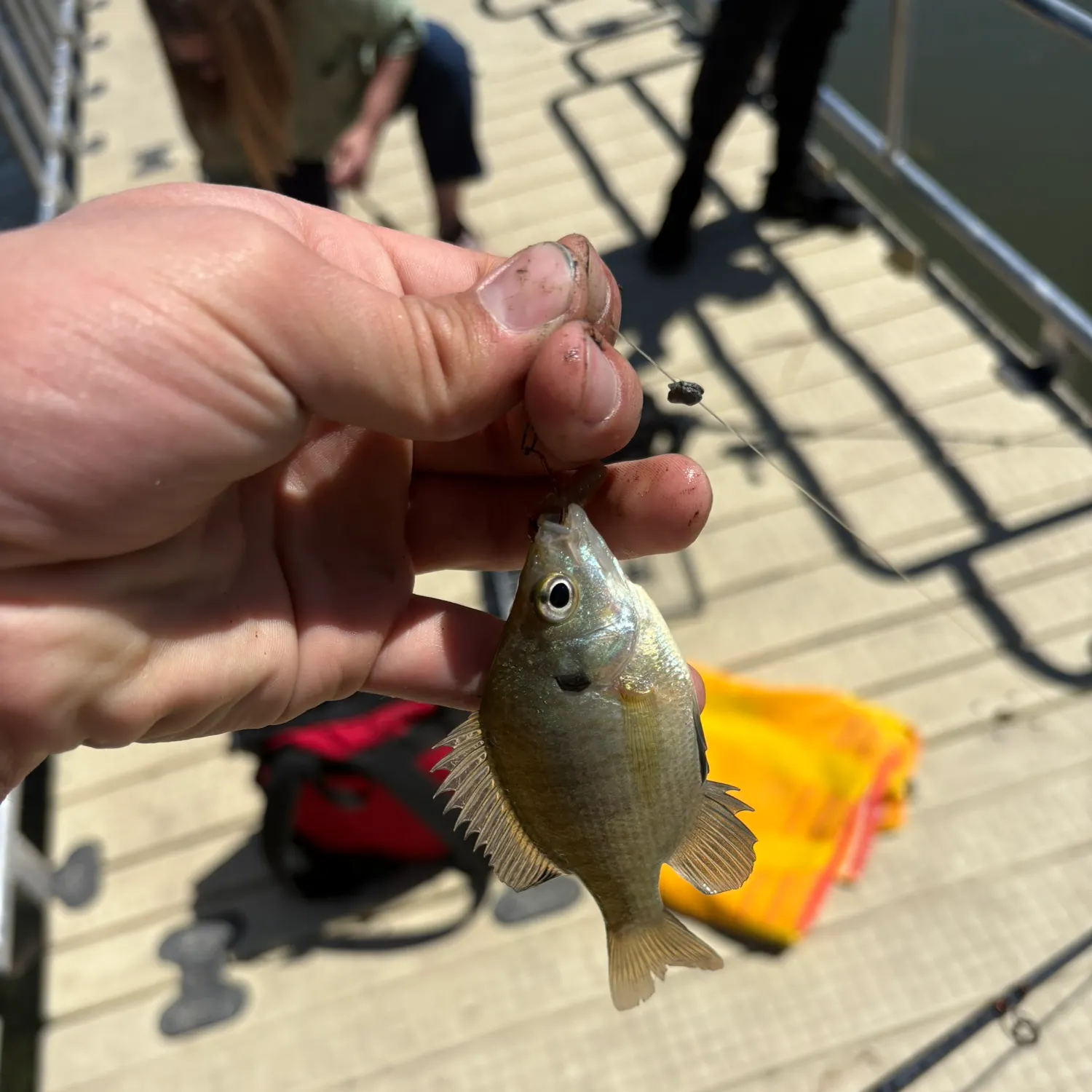 catch