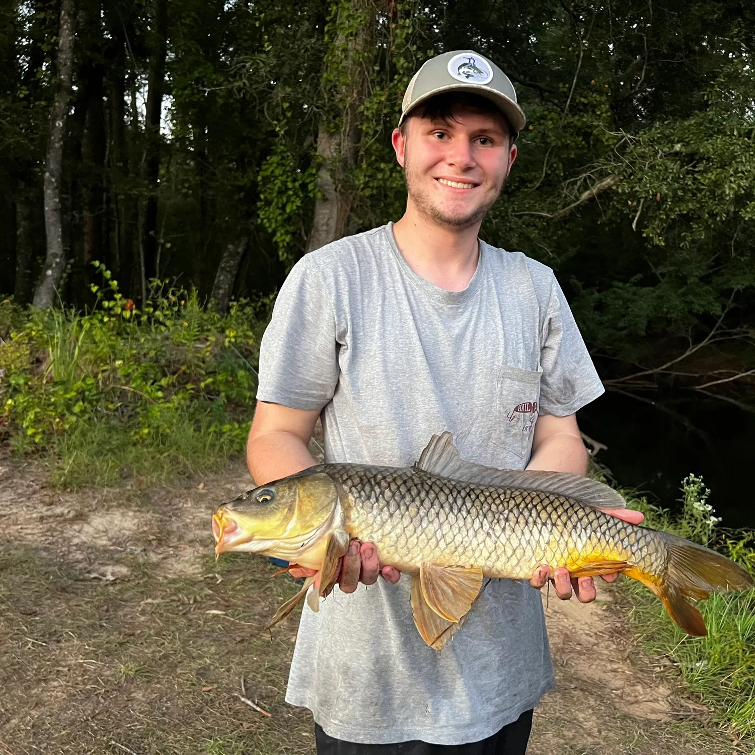 Common carp caught on Fishbrain