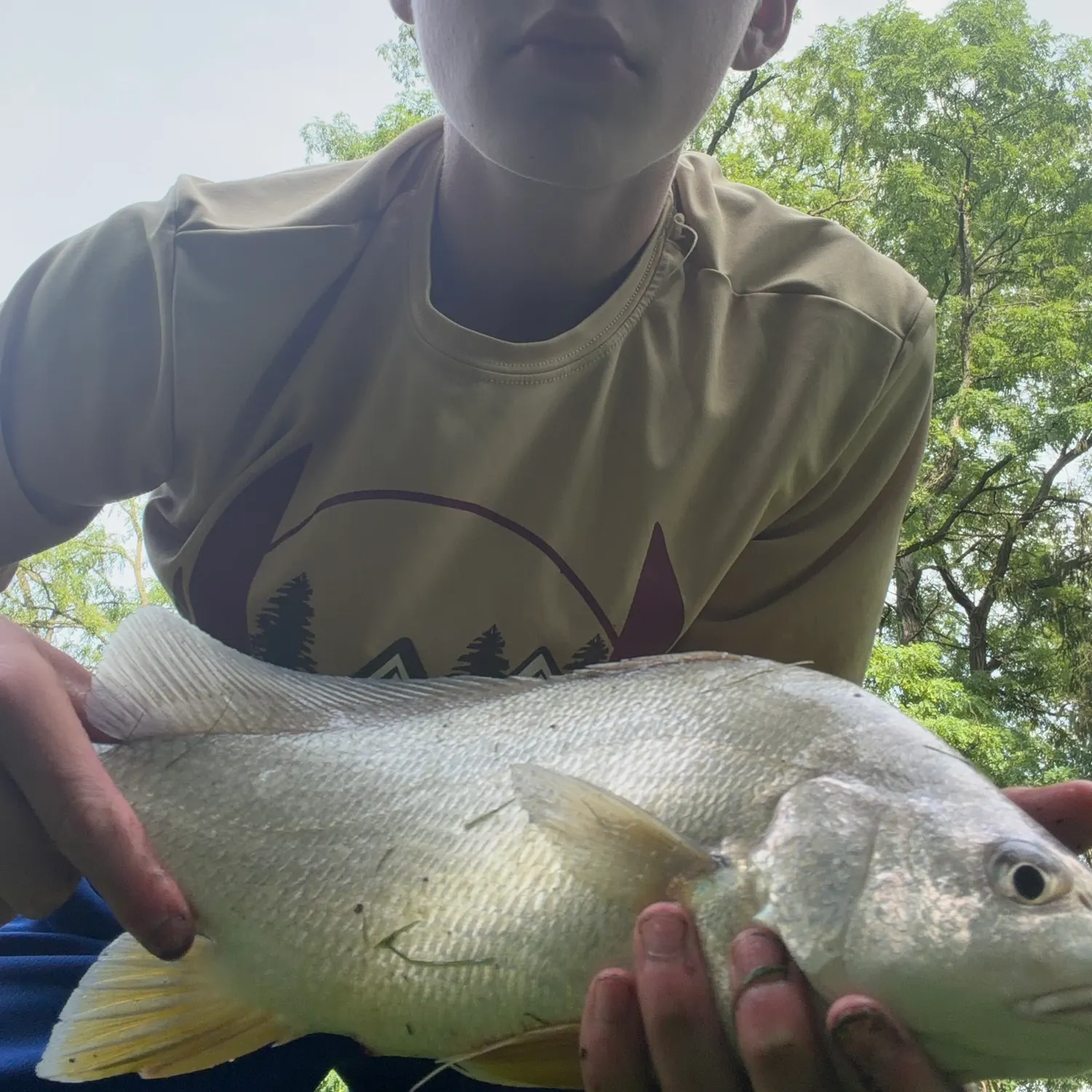Freshwater drum caught on Fishbrain