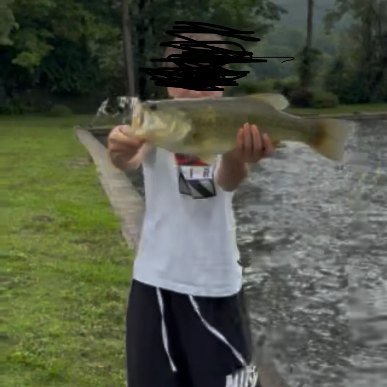 Largemouth bass caught on Fishbrain
