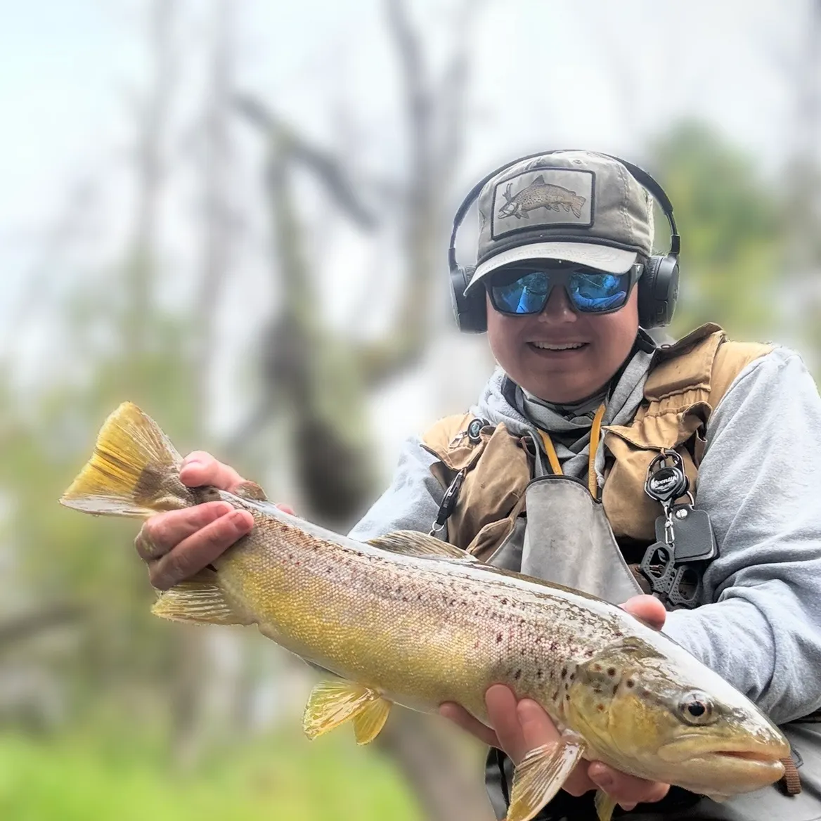 Brown trout caught on Fishbrain