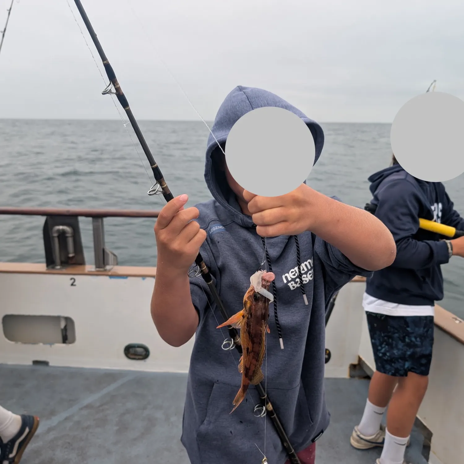 The most recent Vermilion rockfish catches on Fishbrain
