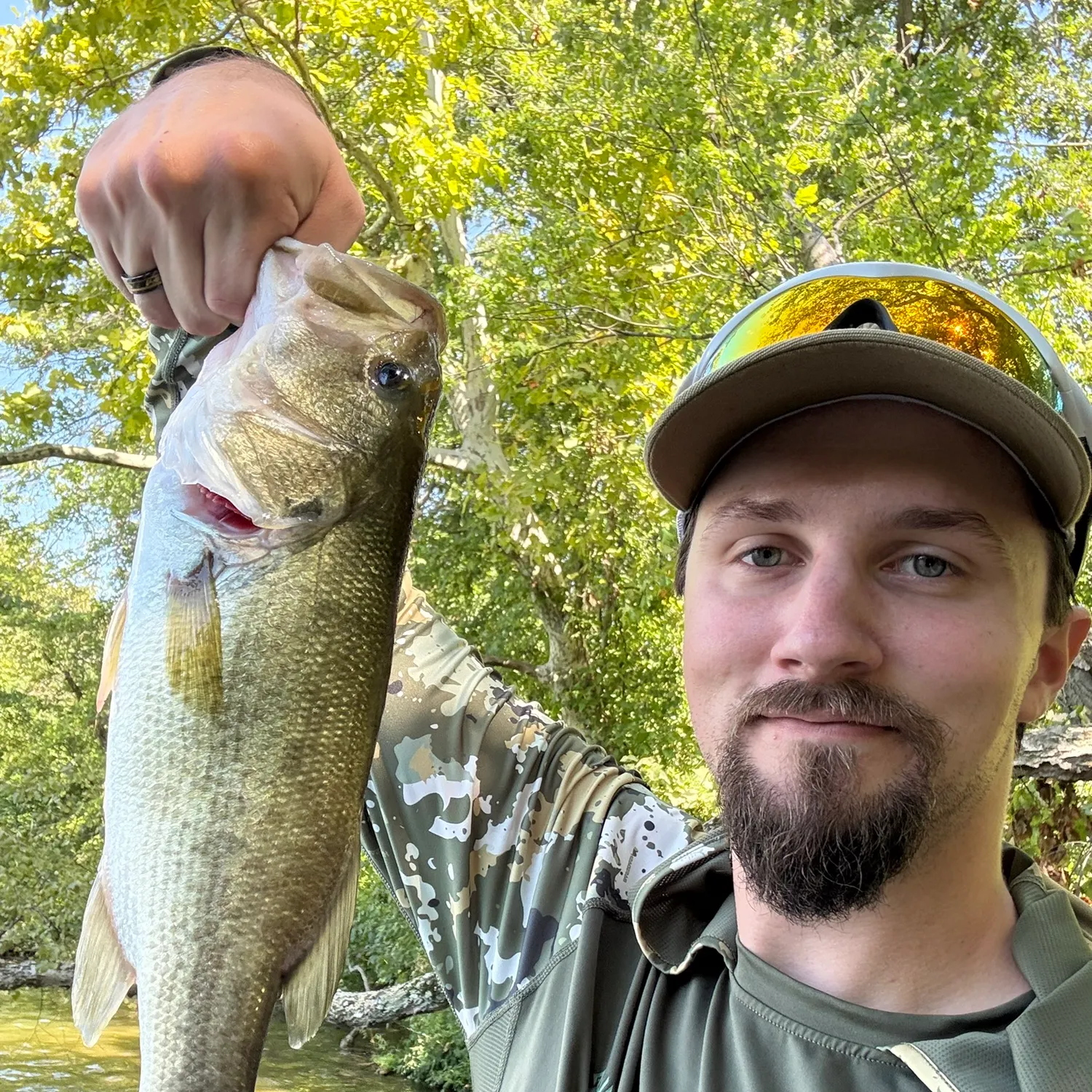 Largemouth bass caught on Fishbrain