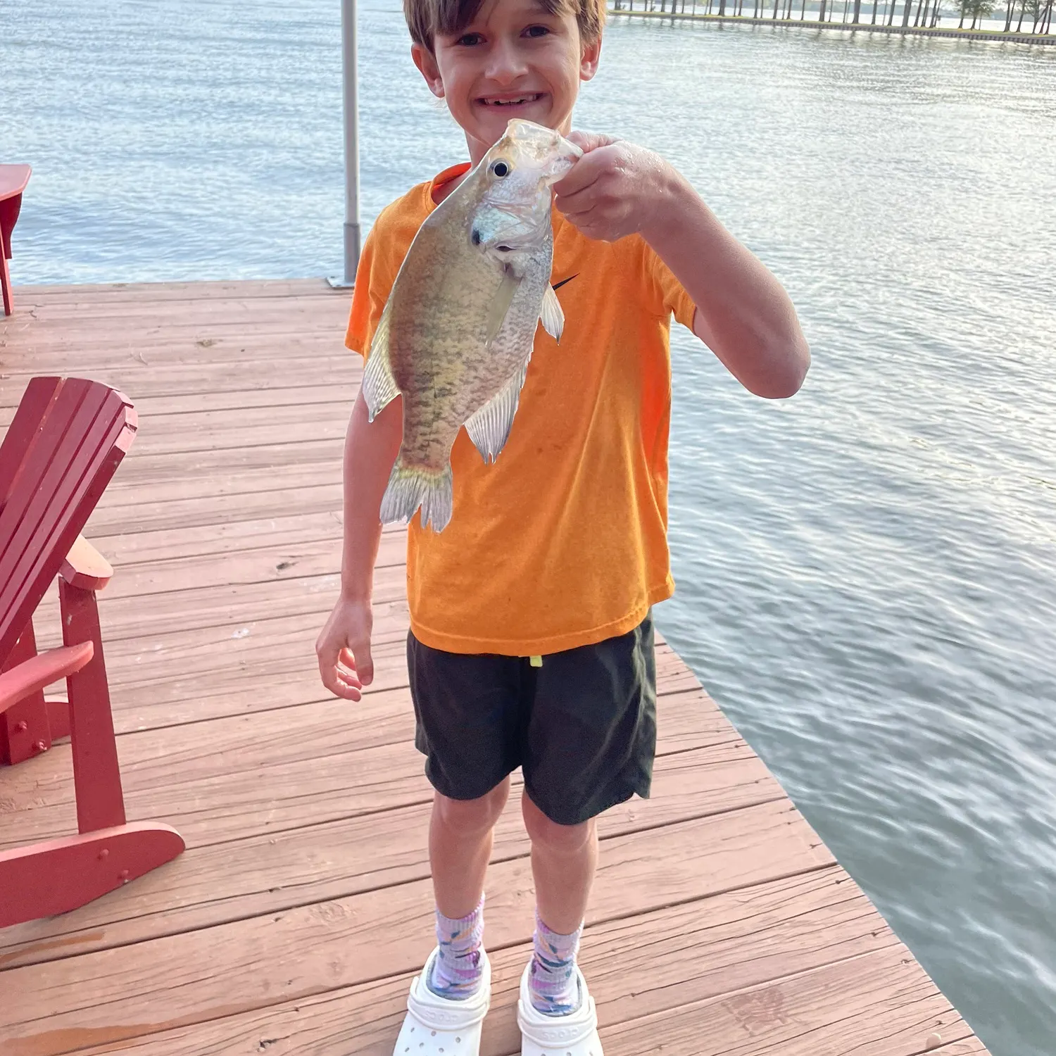 The most recent White crappie catches on Fishbrain