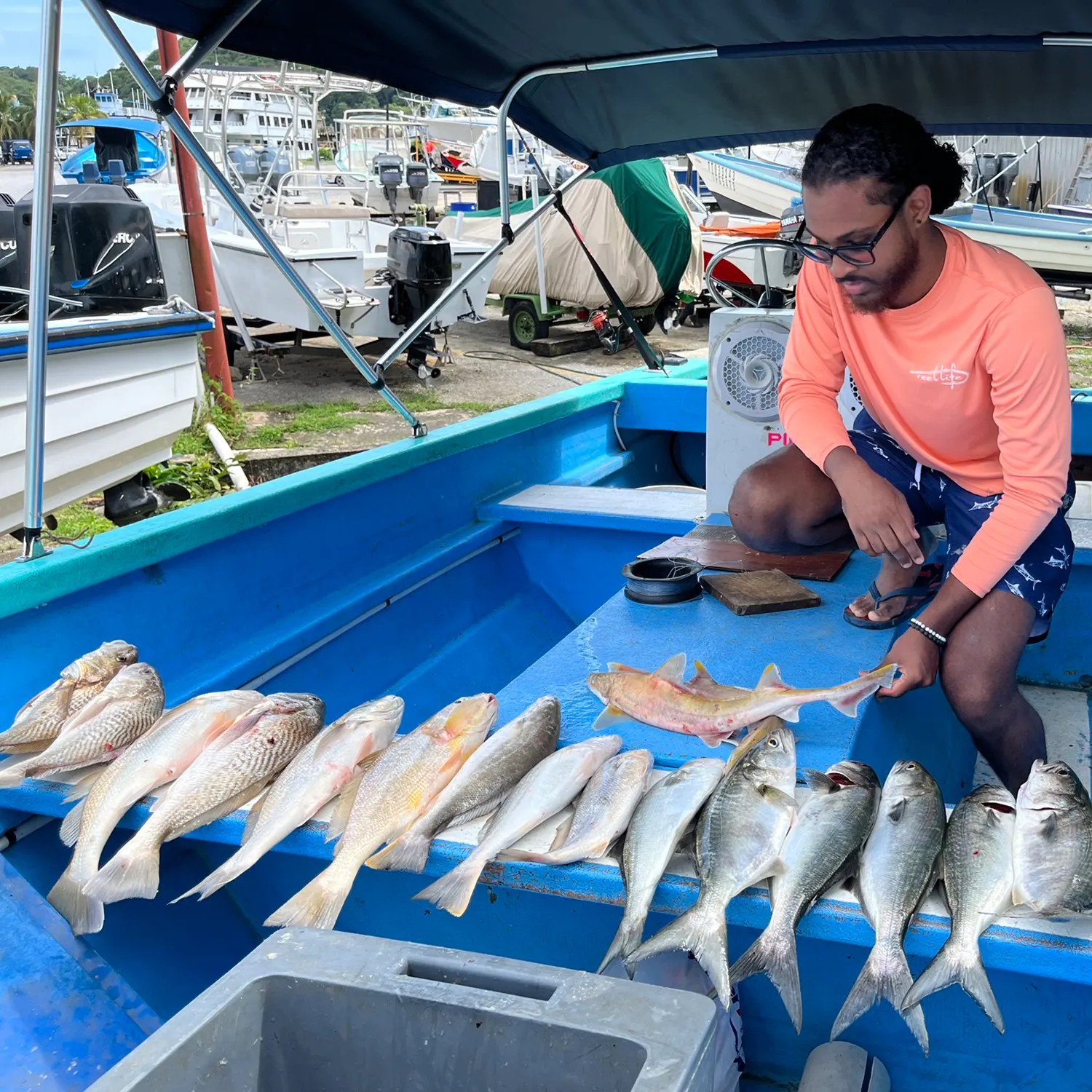 recently logged catches