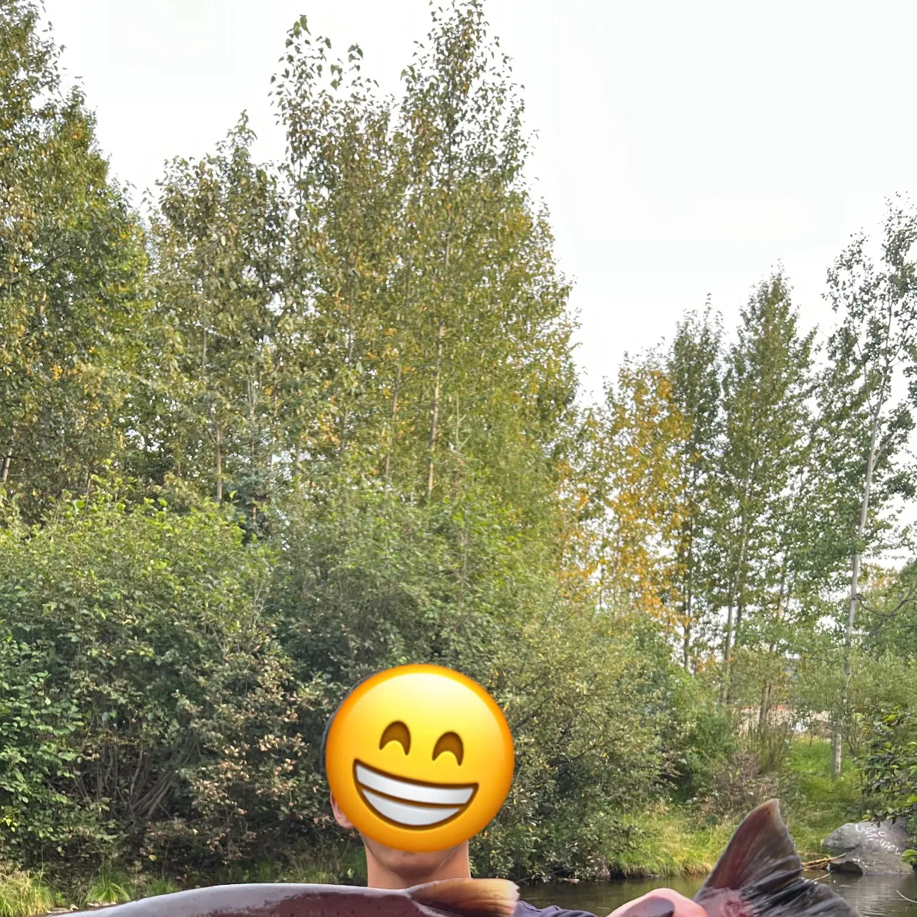 Coho salmon caught on Fishbrain