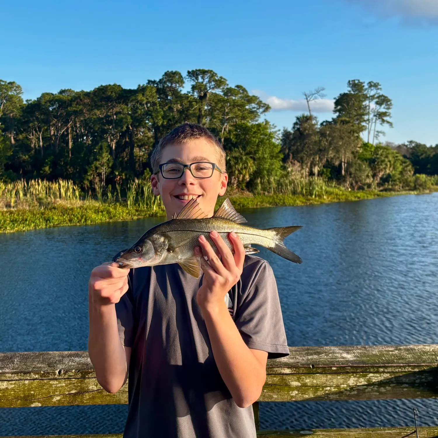 The most recent Fat snook catches on Fishbrain