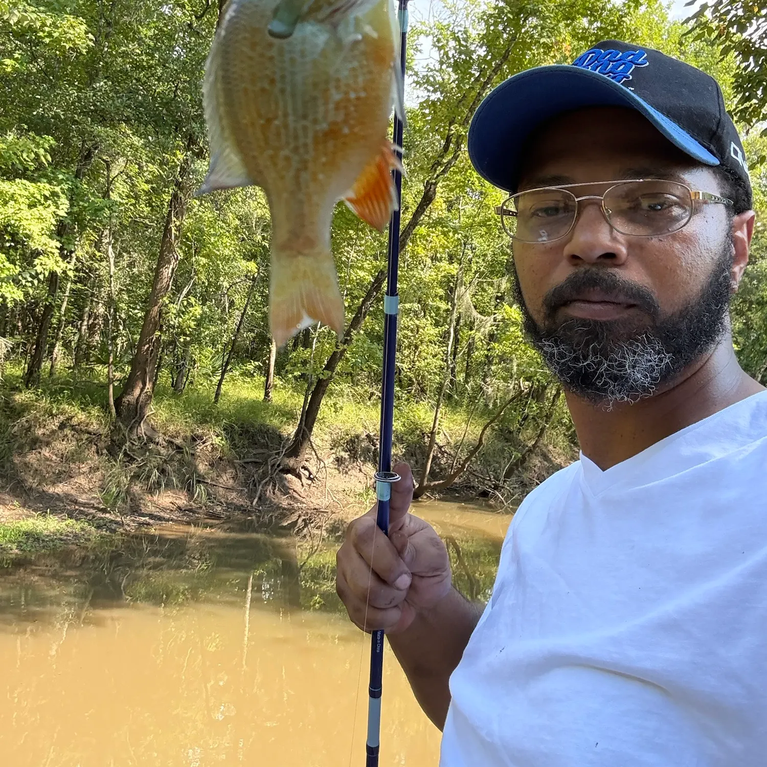Bluegill caught on Fishbrain