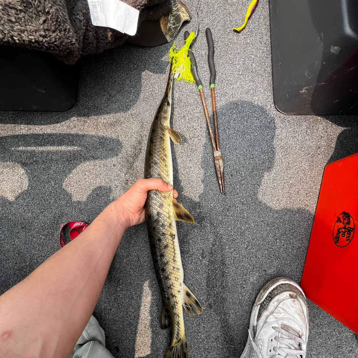 recently logged catches