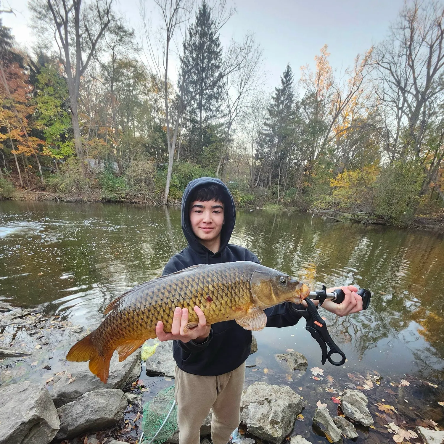 Common carp caught on Fishbrain