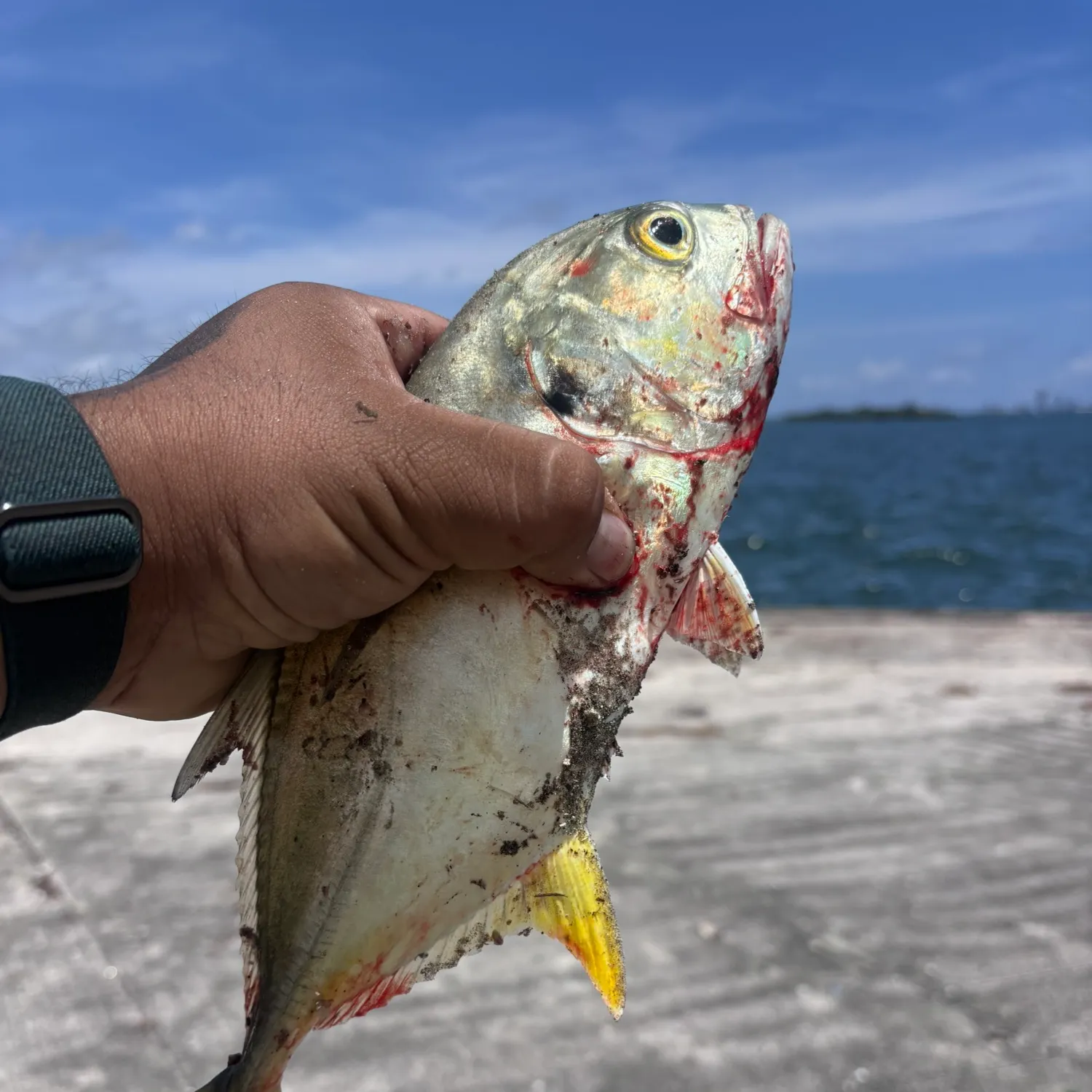 catch