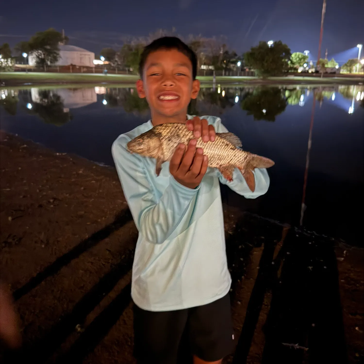 Common carp caught on Fishbrain