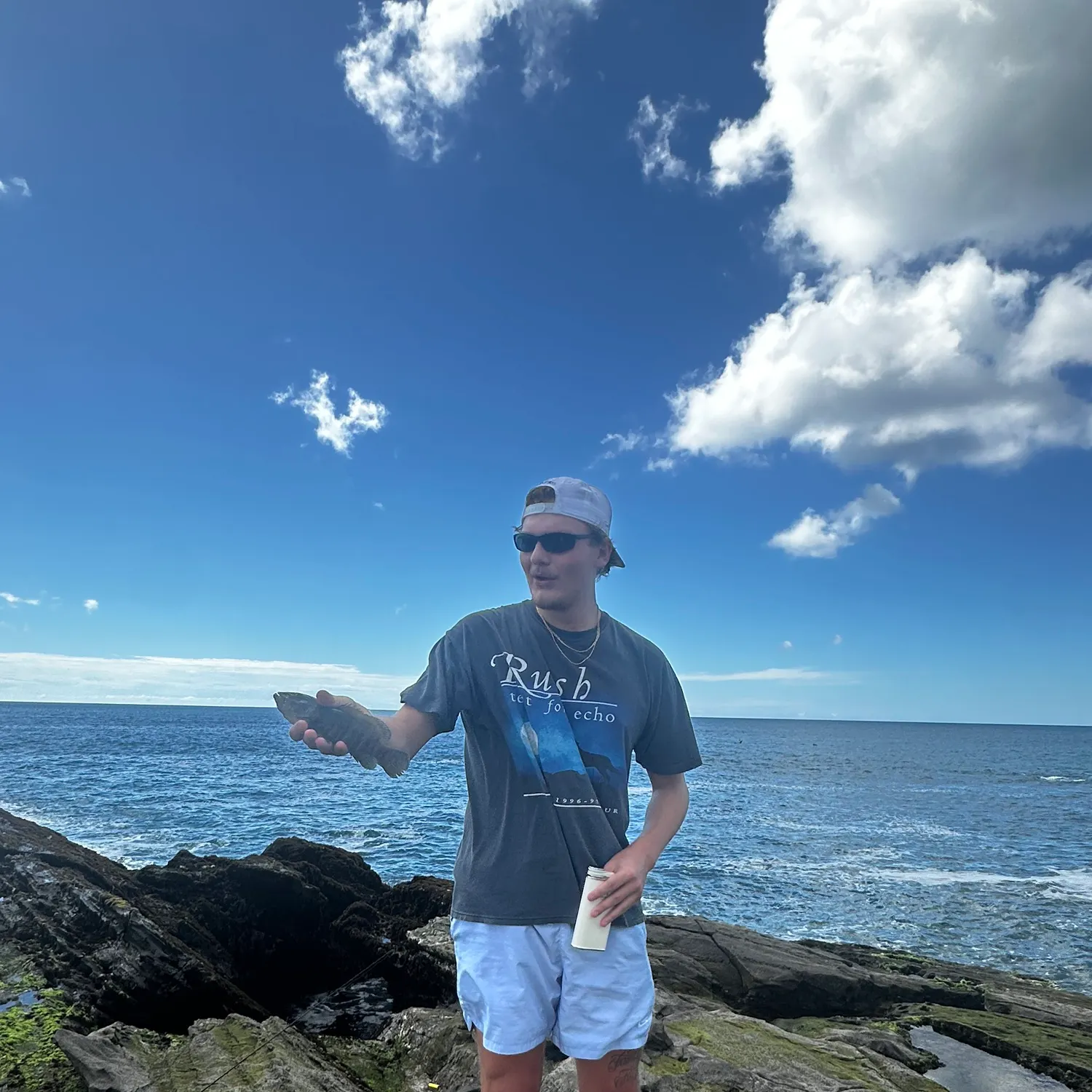 The most recent Pacific goliath grouper catches on Fishbrain