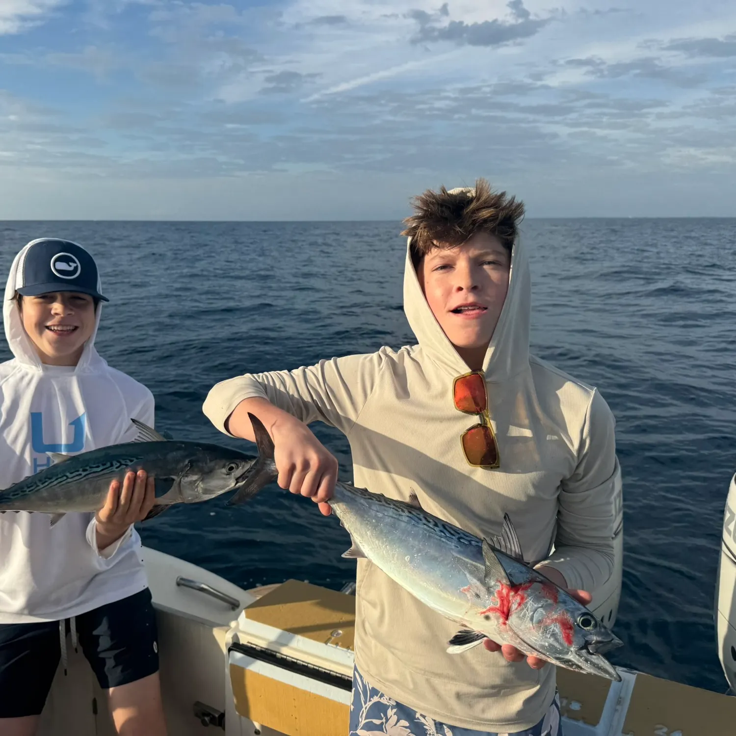 The most recent Blackfin tuna catches on Fishbrain