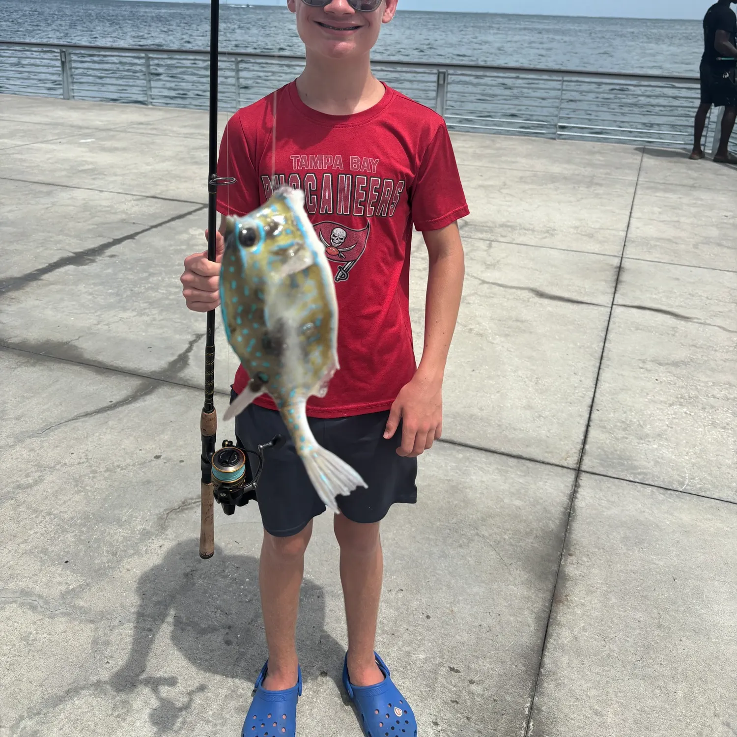 The most recent Scrawled cowfish catches on Fishbrain