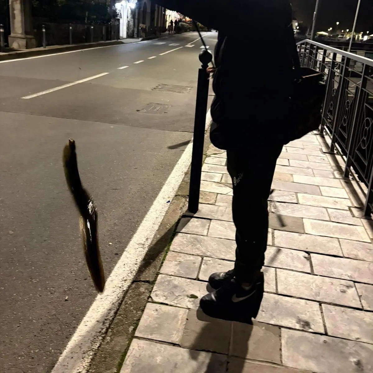 The most recent European eel catches on Fishbrain
