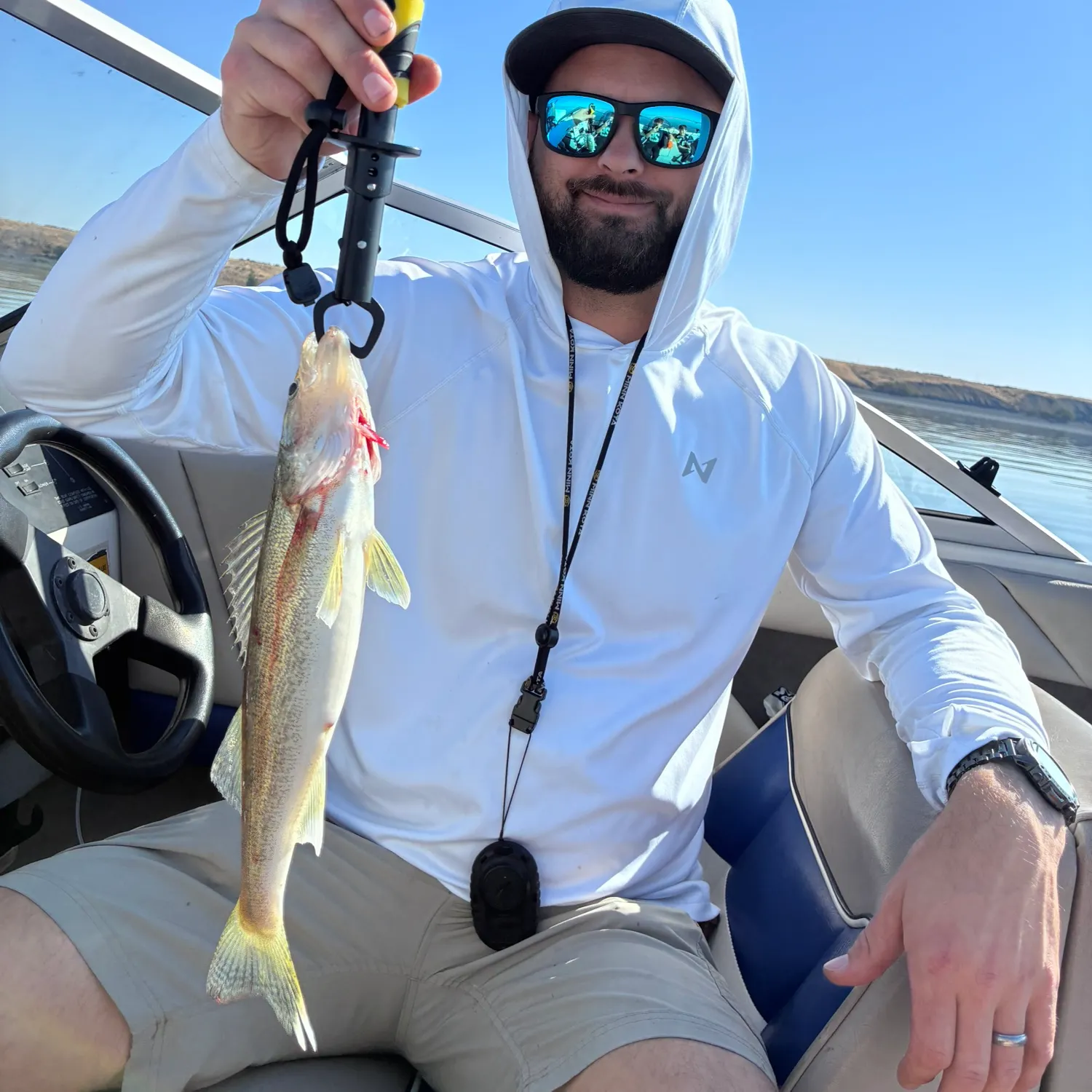 Walleye caught on Fishbrain