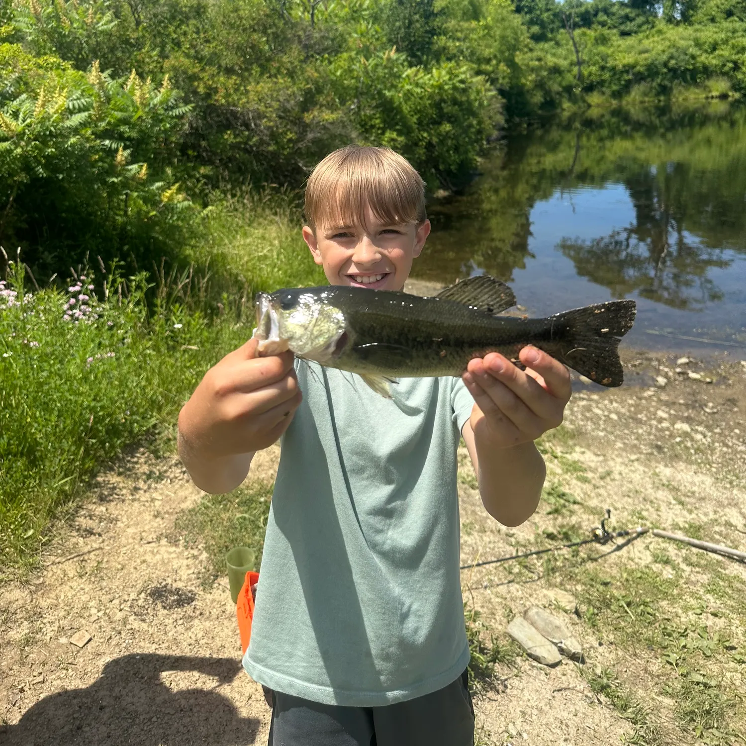 Largemouth bass caught on Fishbrain