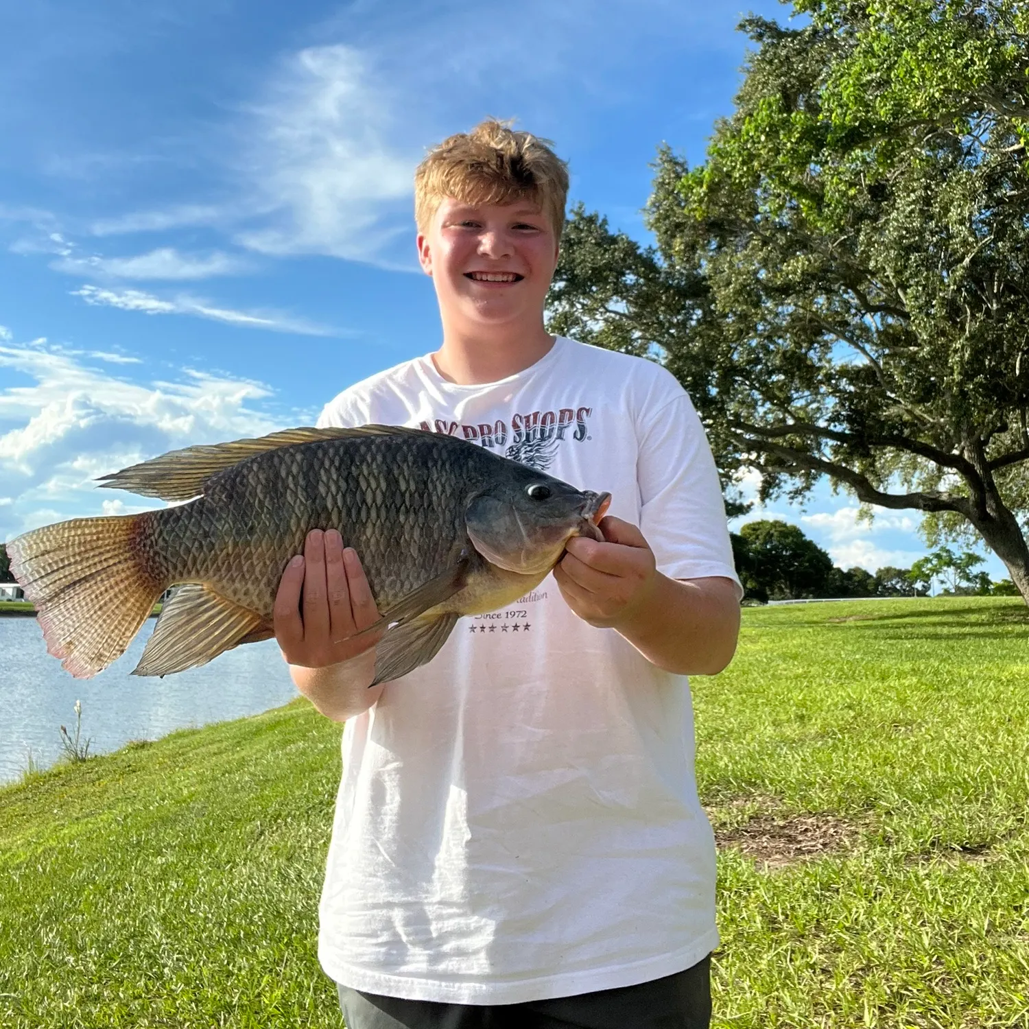 The most recent Nile tilapia catches on Fishbrain
