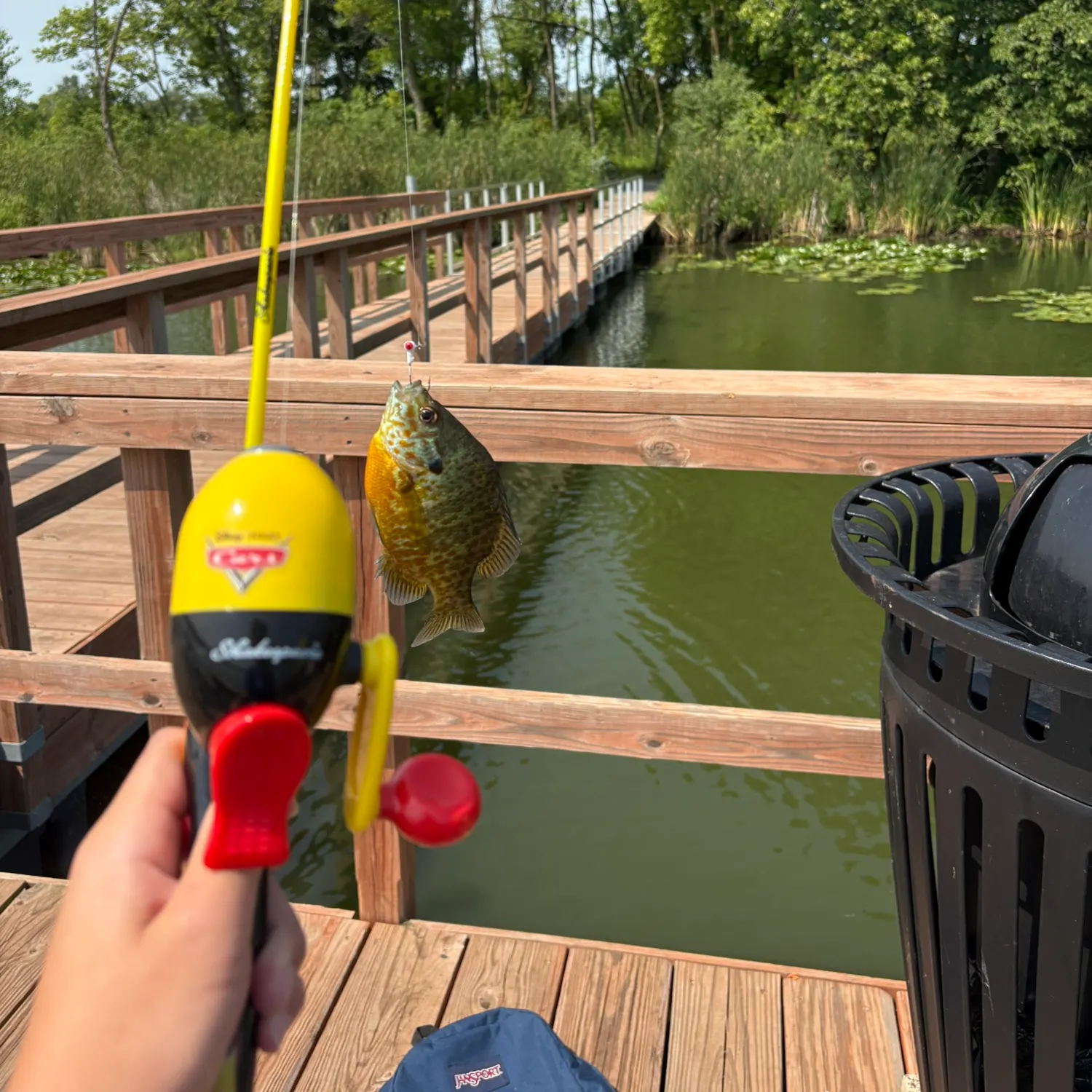 Pumpkinseed caught on Fishbrain