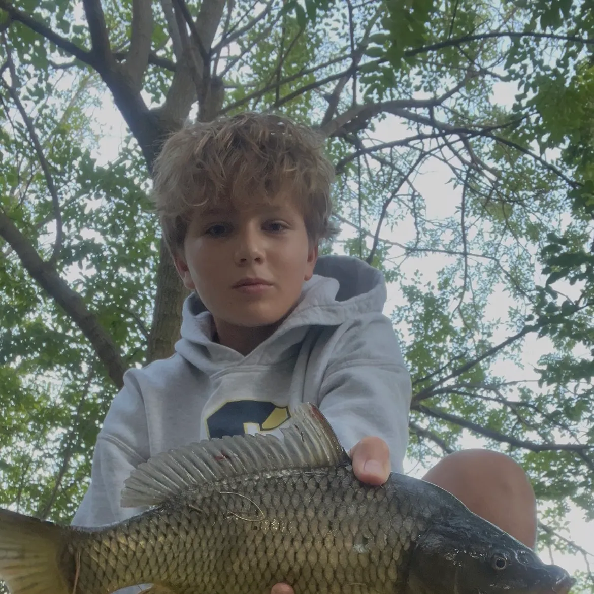 Common carp caught on Fishbrain