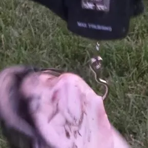 Channel catfish caught on Fishbrain