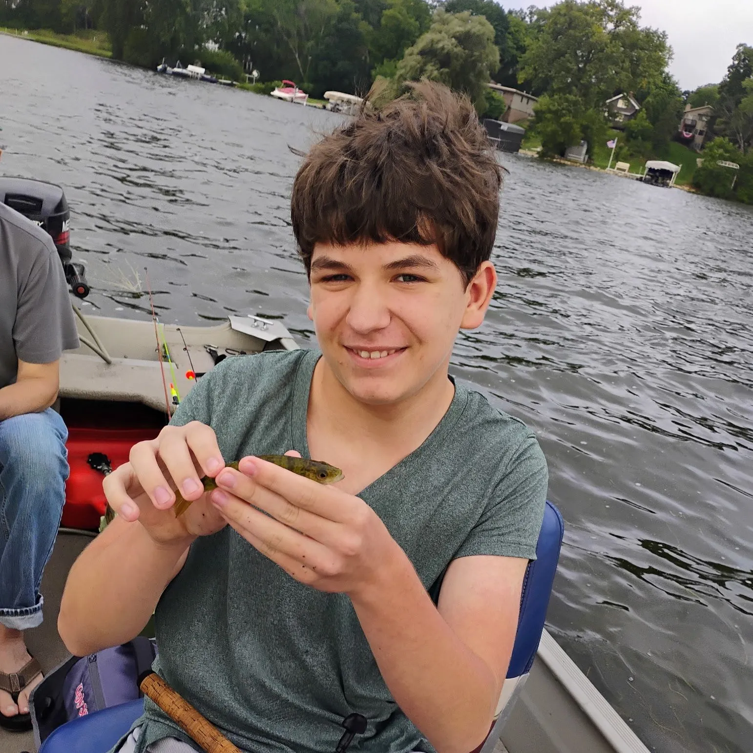 Yellow perch caught on Fishbrain