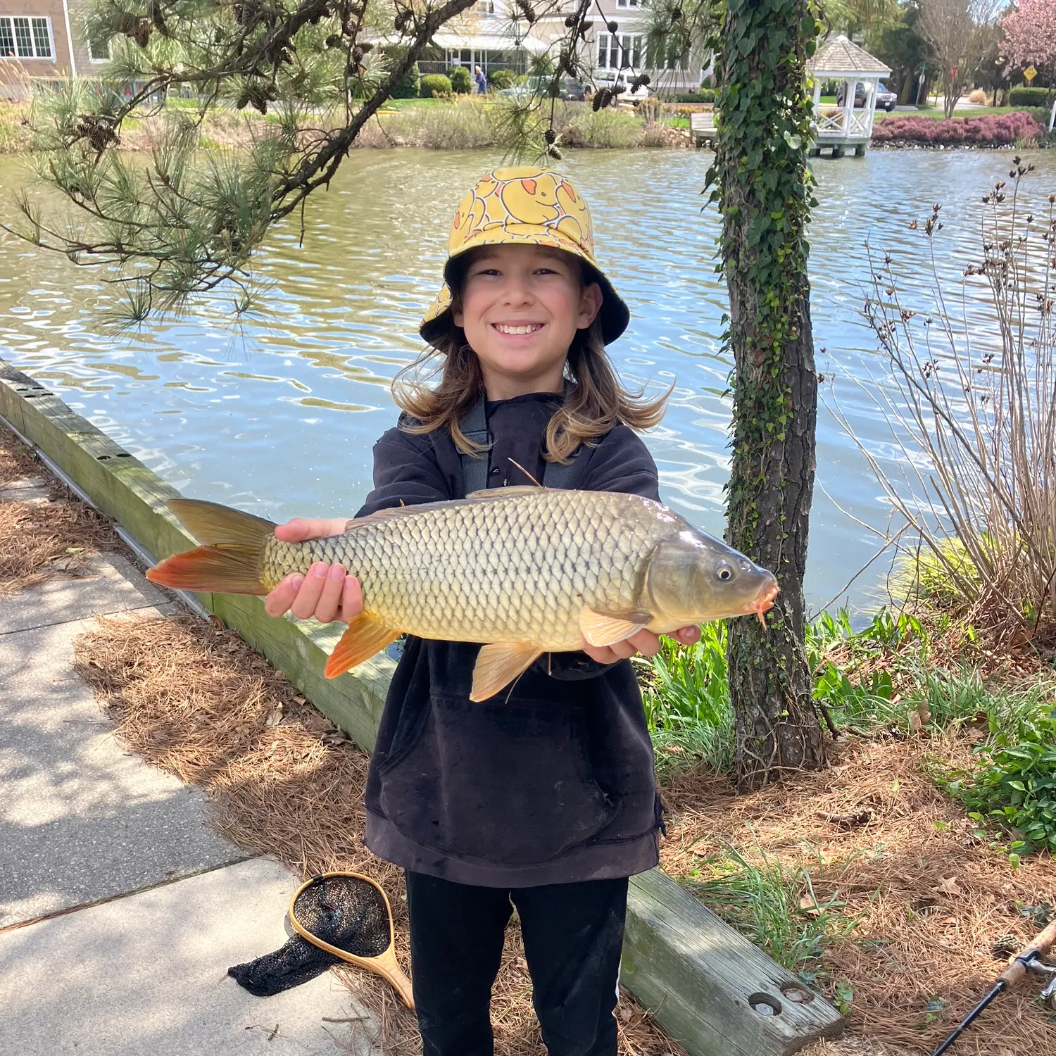 most liked catch image