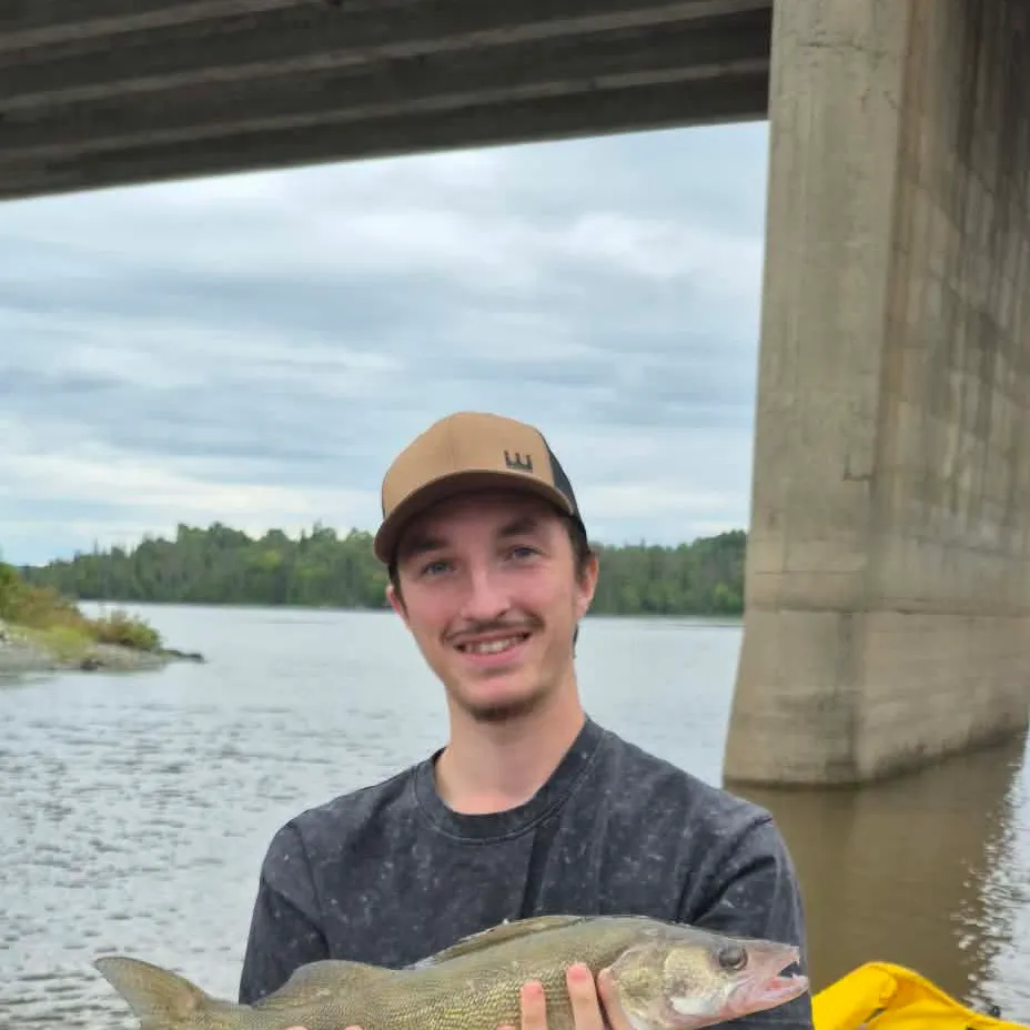 Walleye caught on Fishbrain