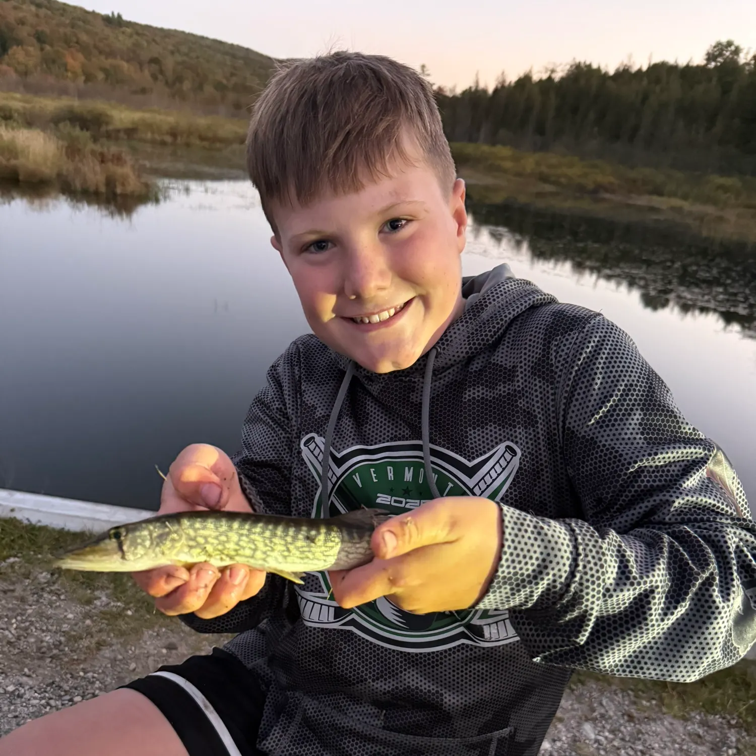 Chain pickerel caught on Fishbrain
