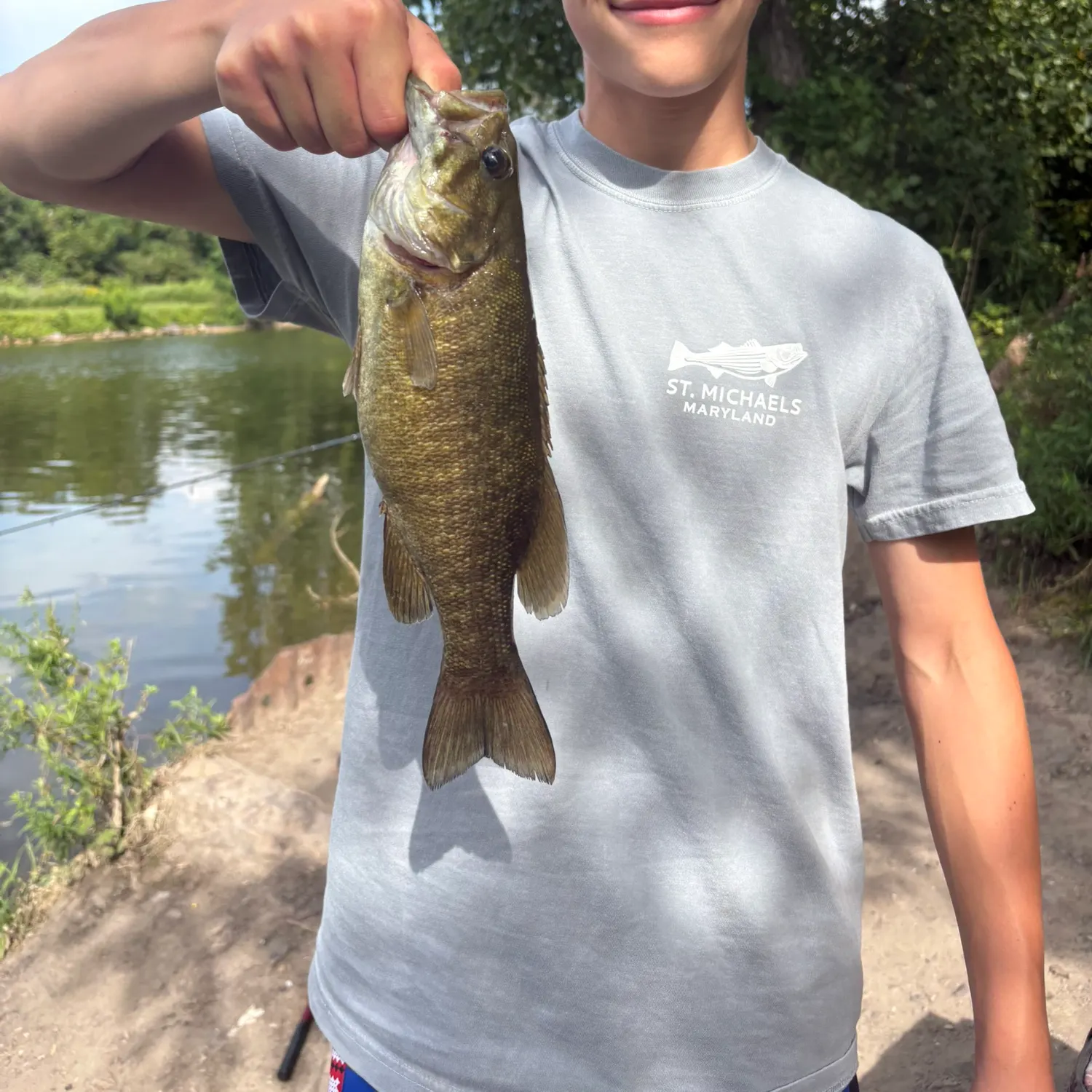 Smallmouth bass caught on Fishbrain
