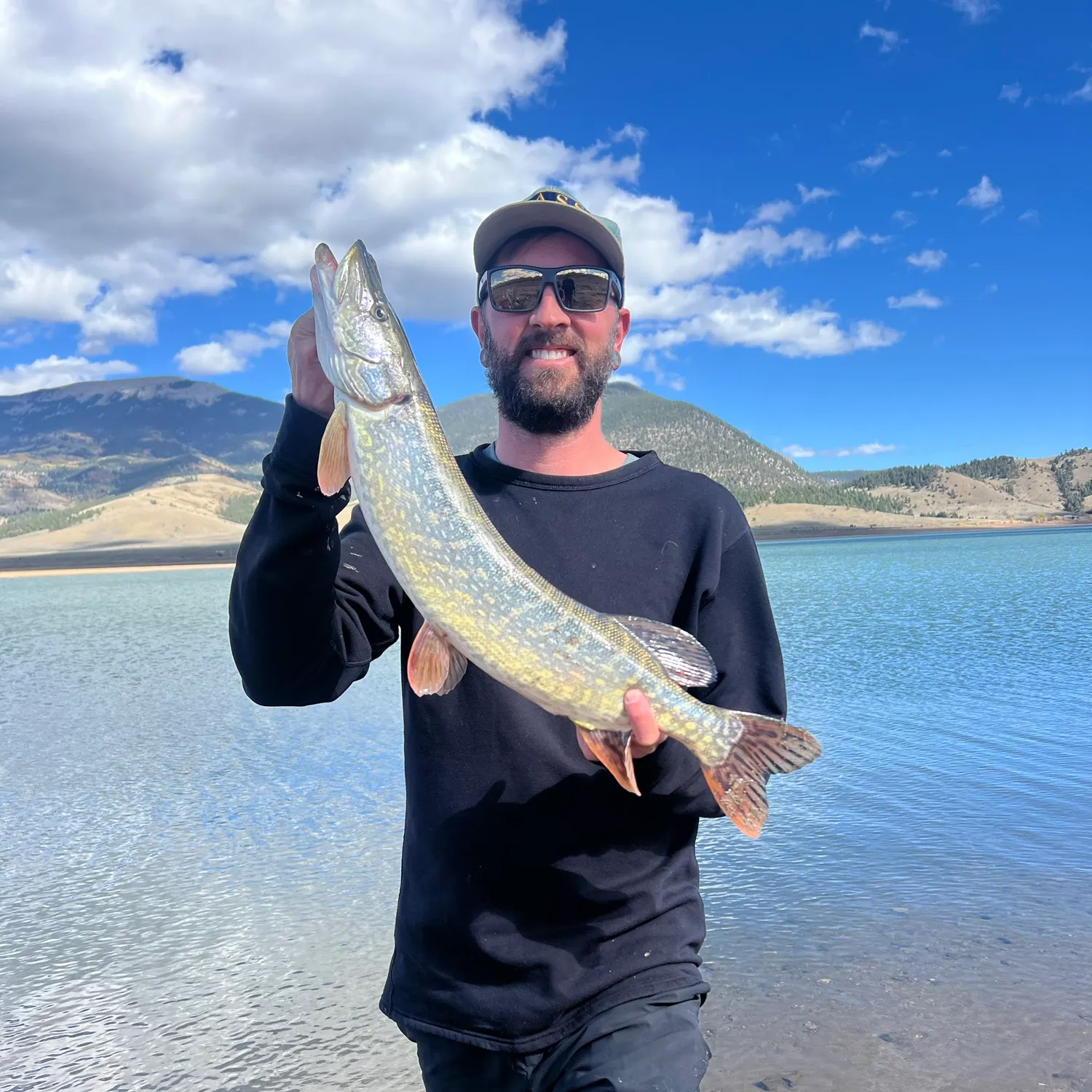 Northern pike caught on Fishbrain