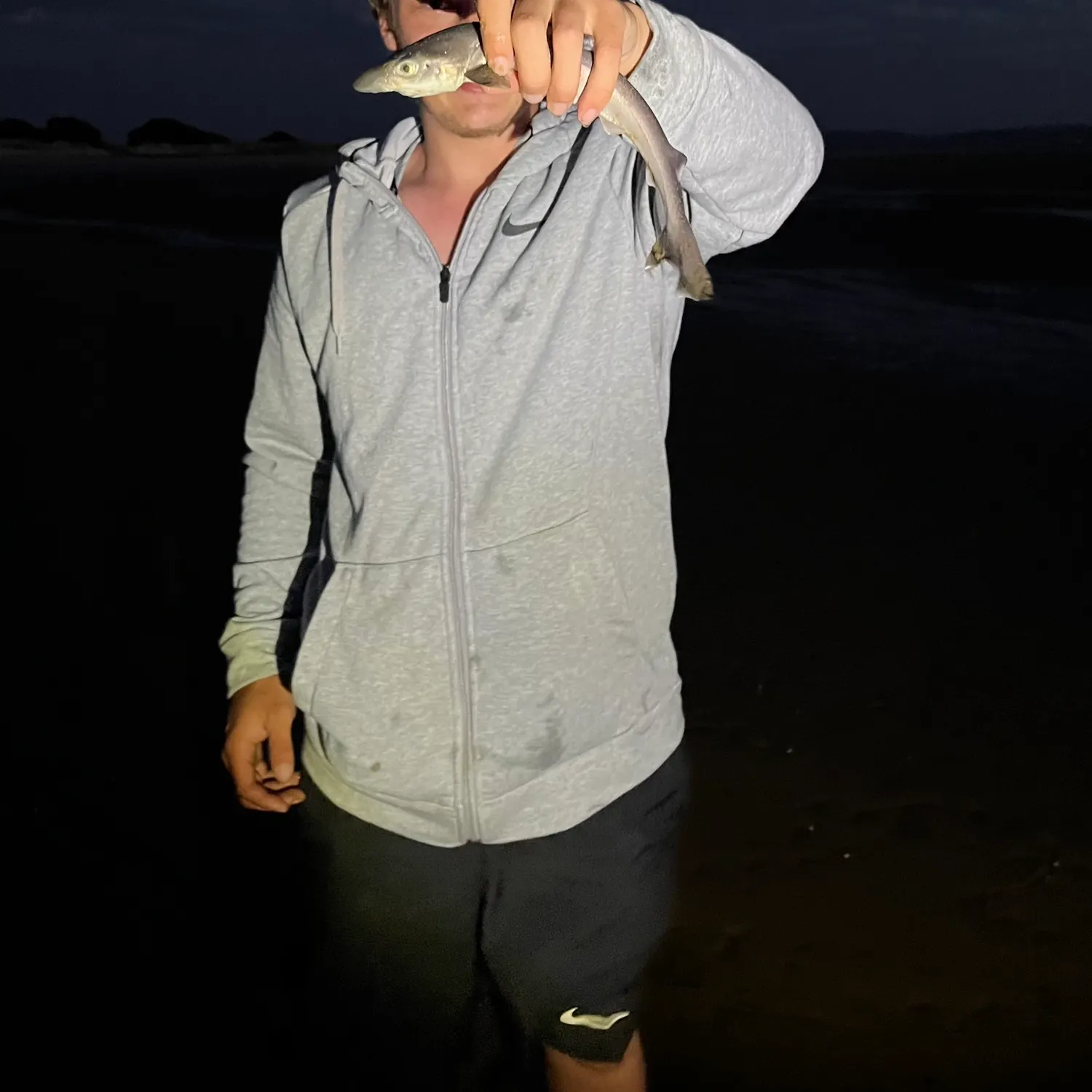 The most recent Tope shark catches on Fishbrain