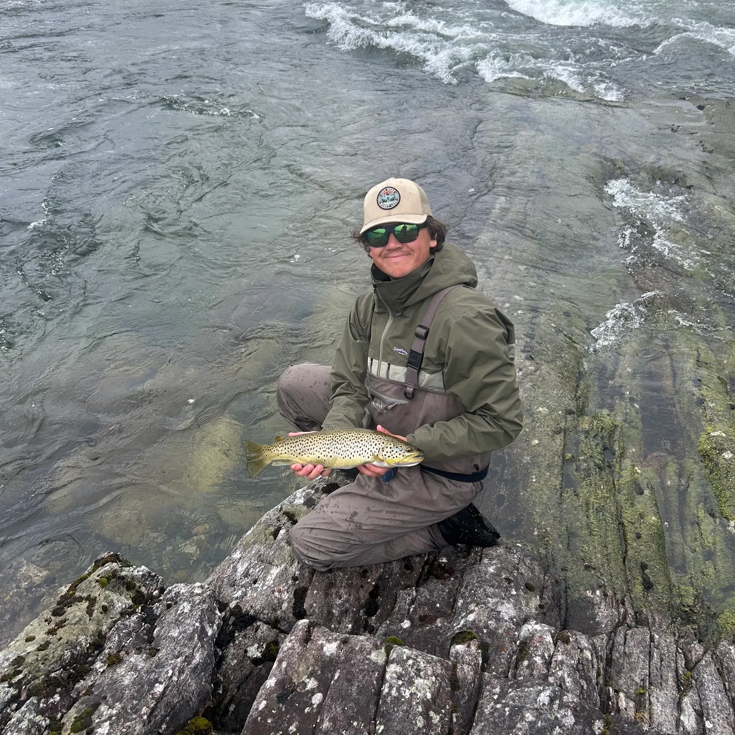 The most recent Brown trout catches on Fishbrain