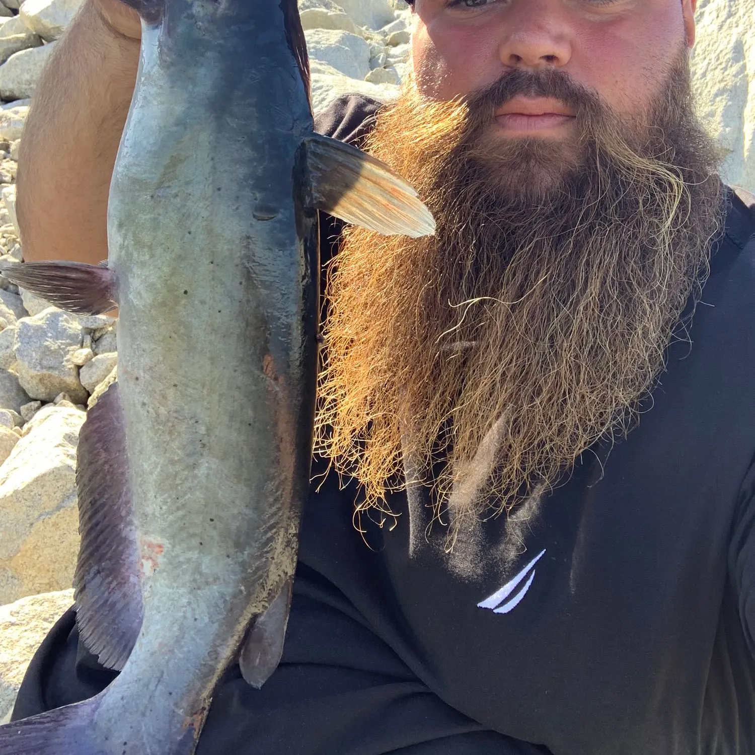 angler catch