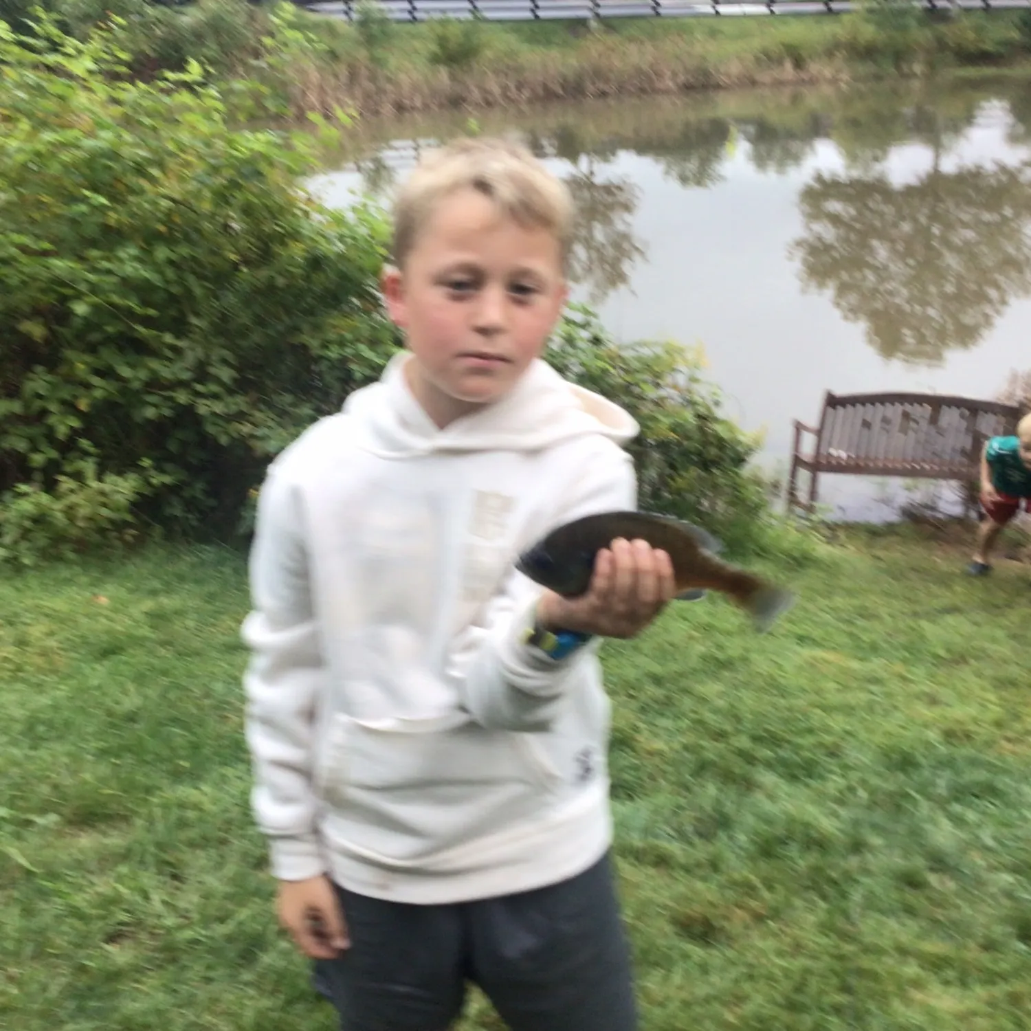 Smallmouth bass caught on Fishbrain