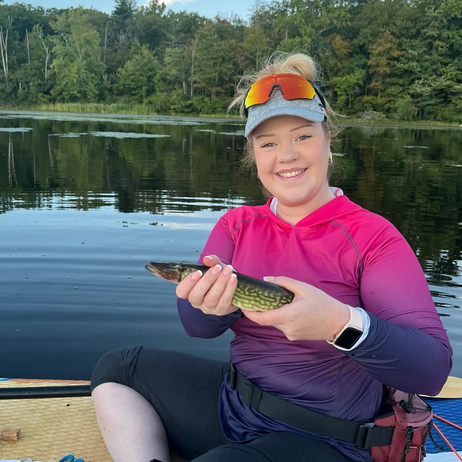 Chain pickerel caught on Fishbrain
