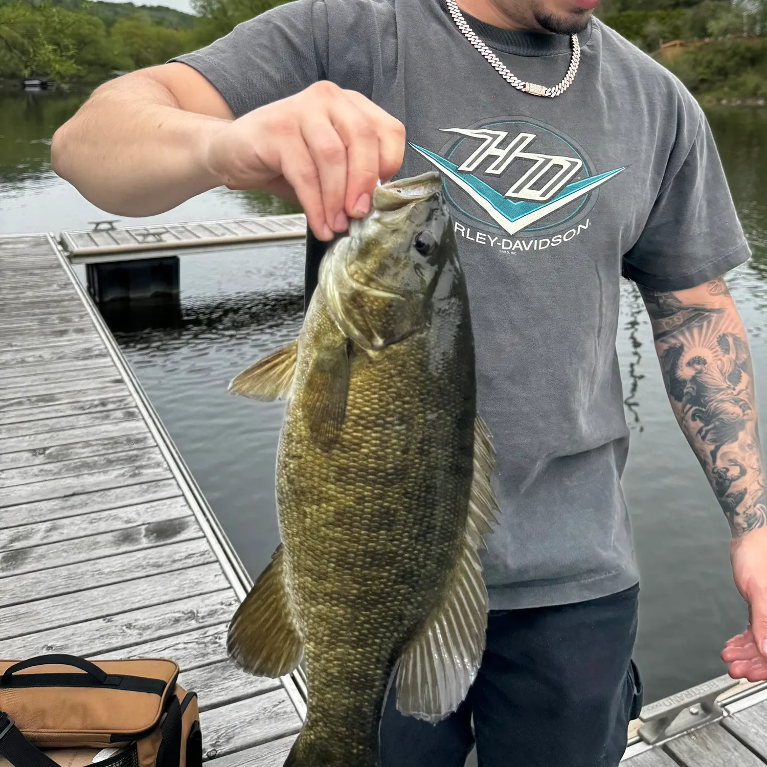 recently logged catches