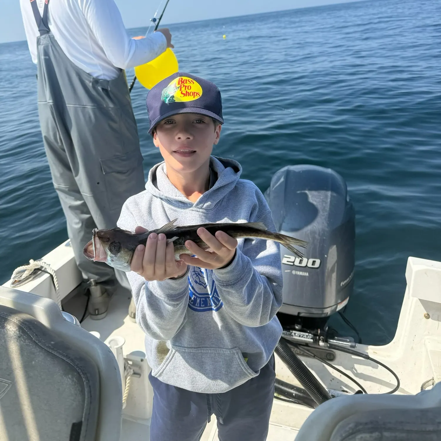 The most recent White hake catches on Fishbrain