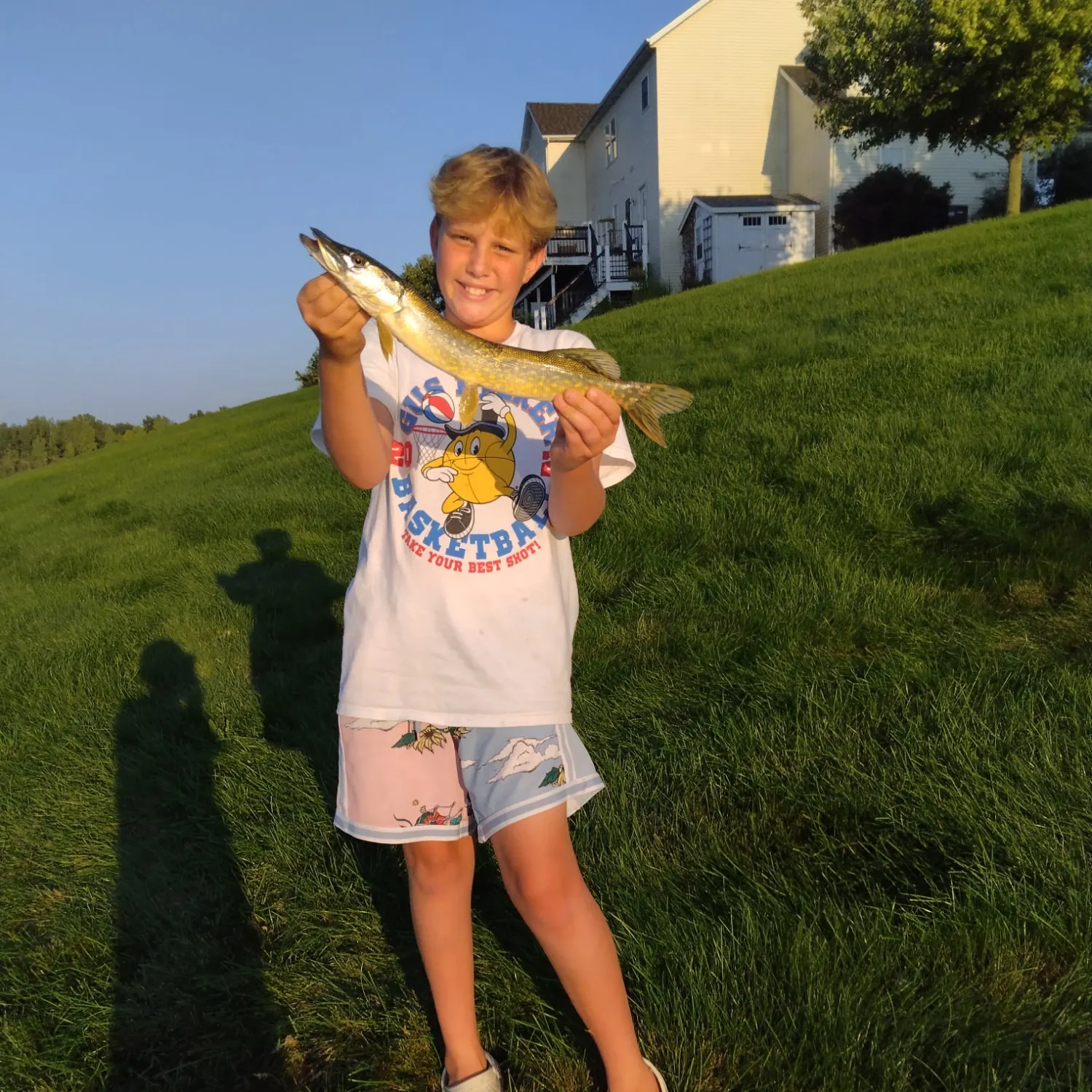 Northern pike caught on Fishbrain