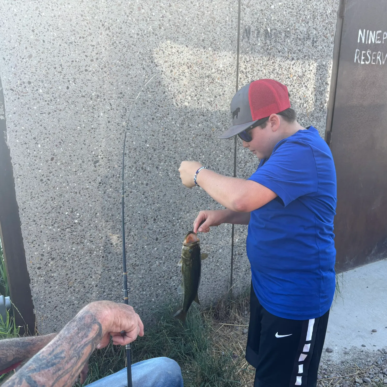 Fish caught on Fishbrain