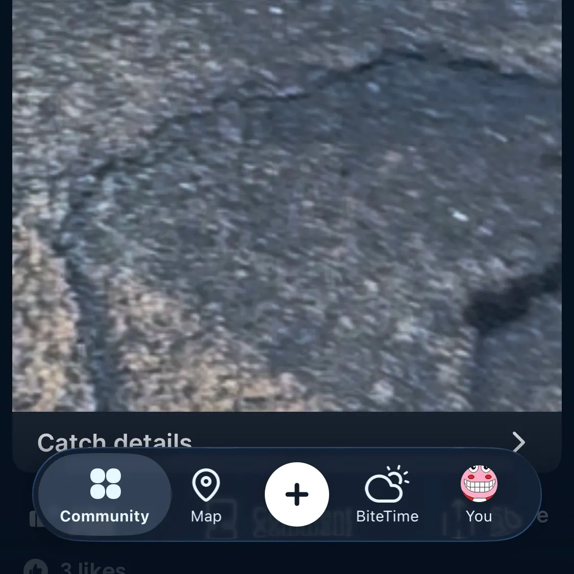 American eel caught on Fishbrain