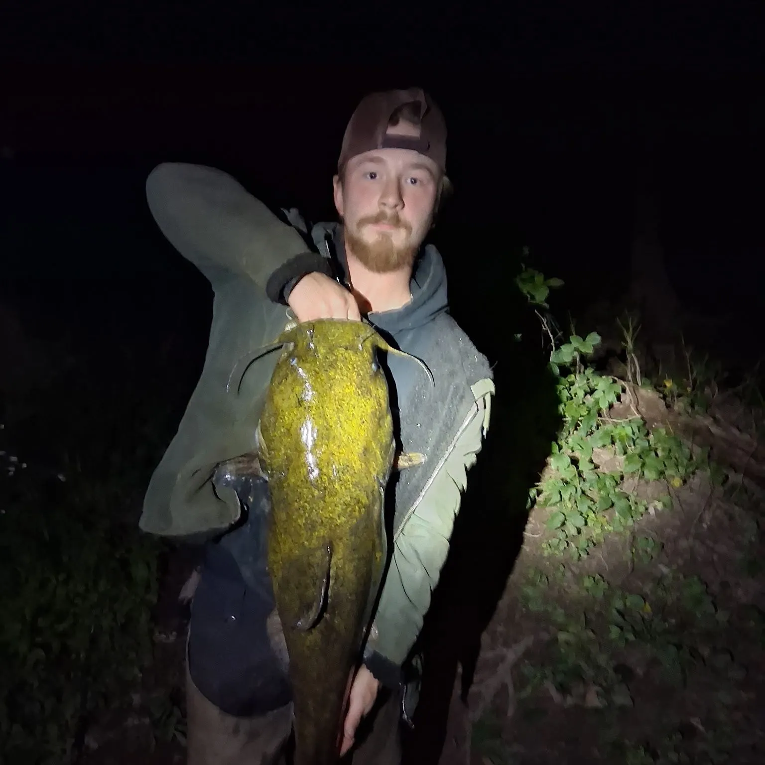 Flathead catfish caught on Fishbrain