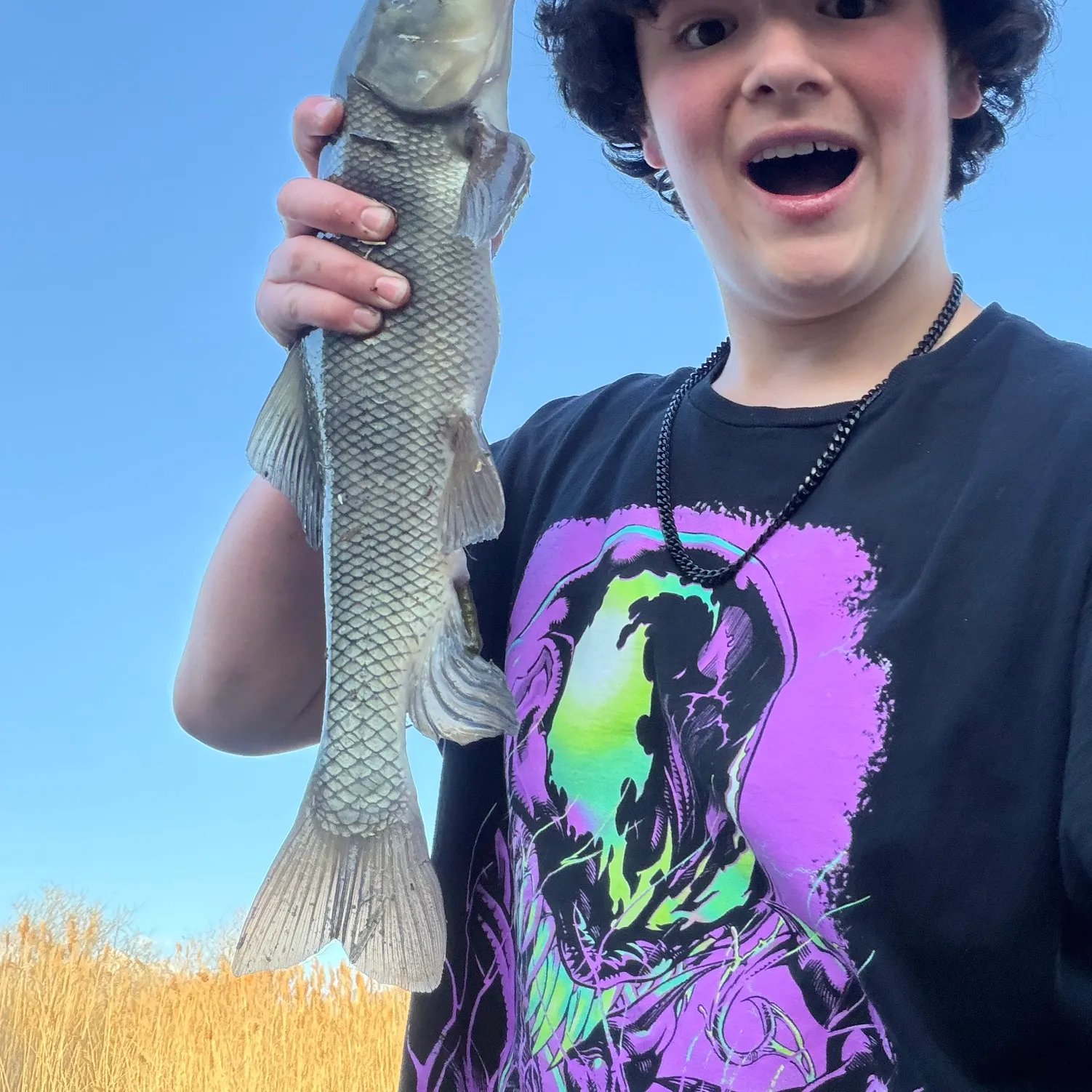 The most recent Utah sucker catches on Fishbrain