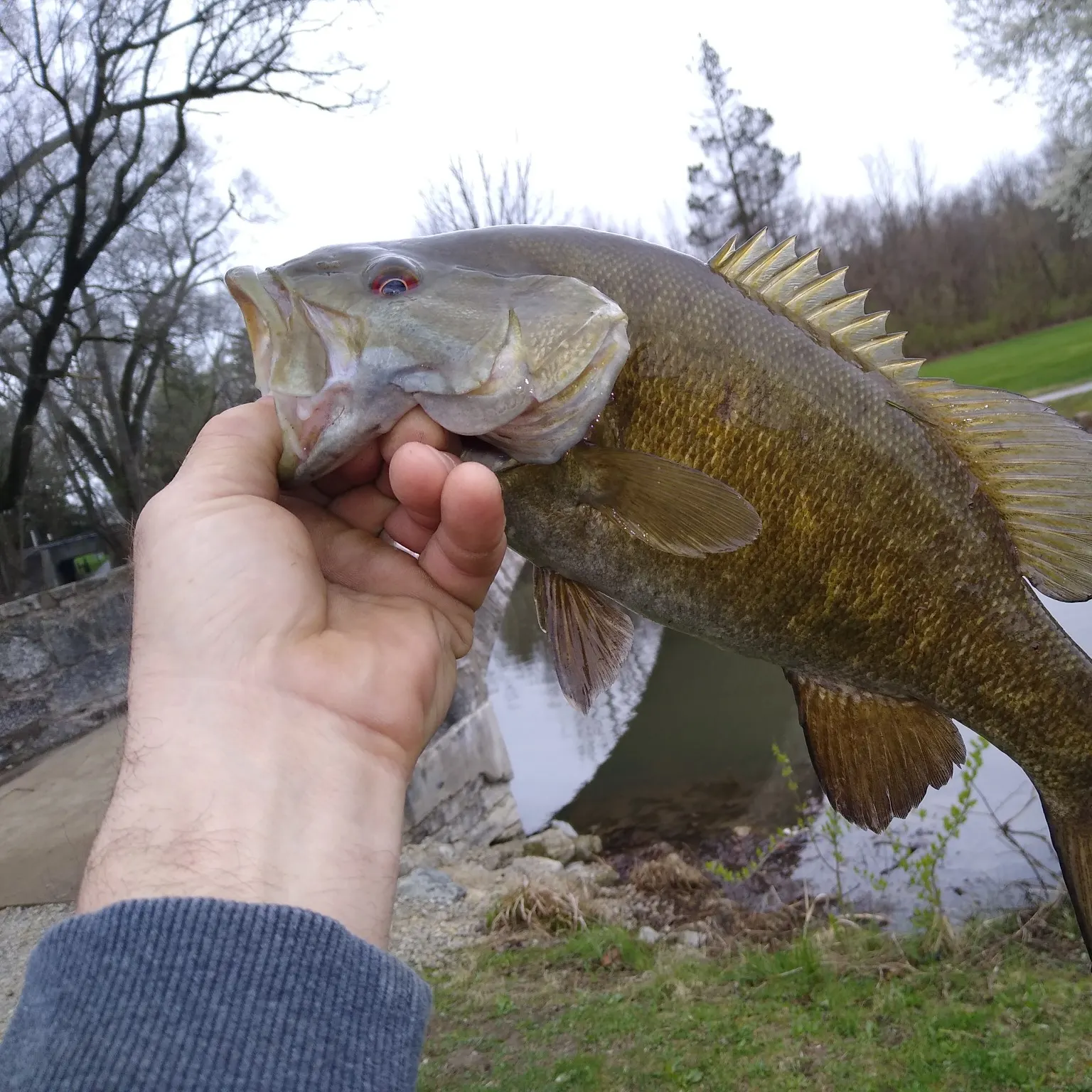 angler catch