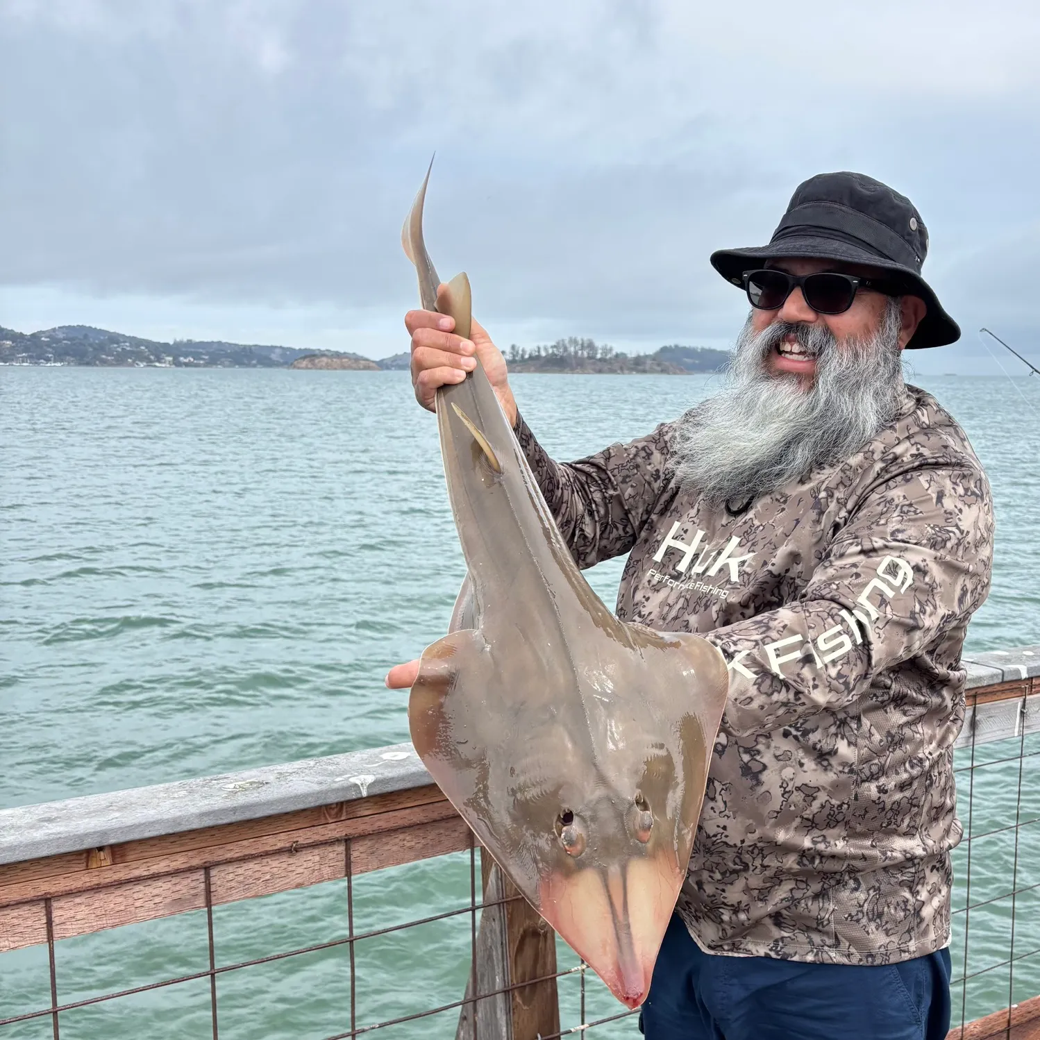 The most recent Pacific shovelnose guitarfish catches on Fishbrain